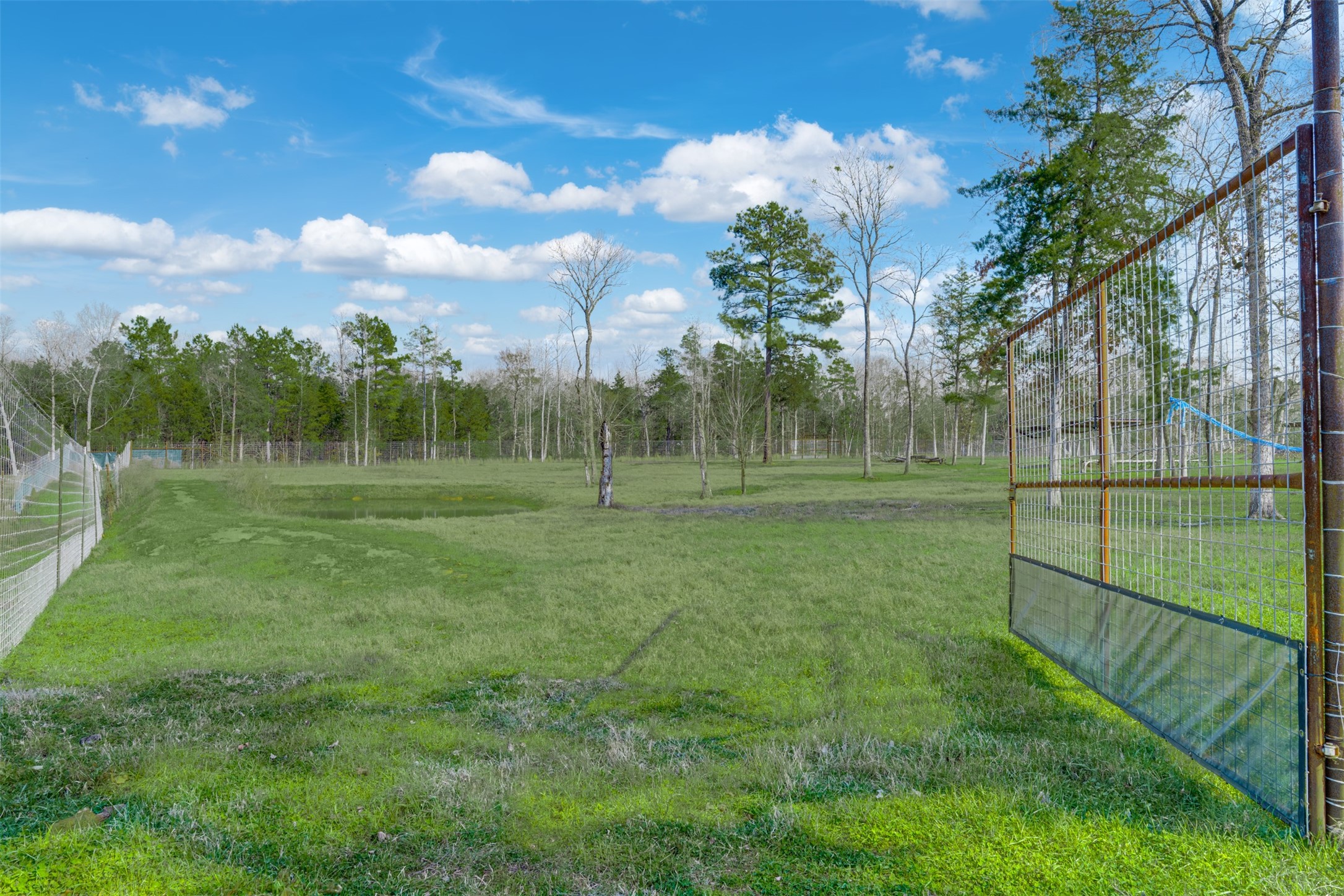 8779 Fm 768 N Property Photo 47