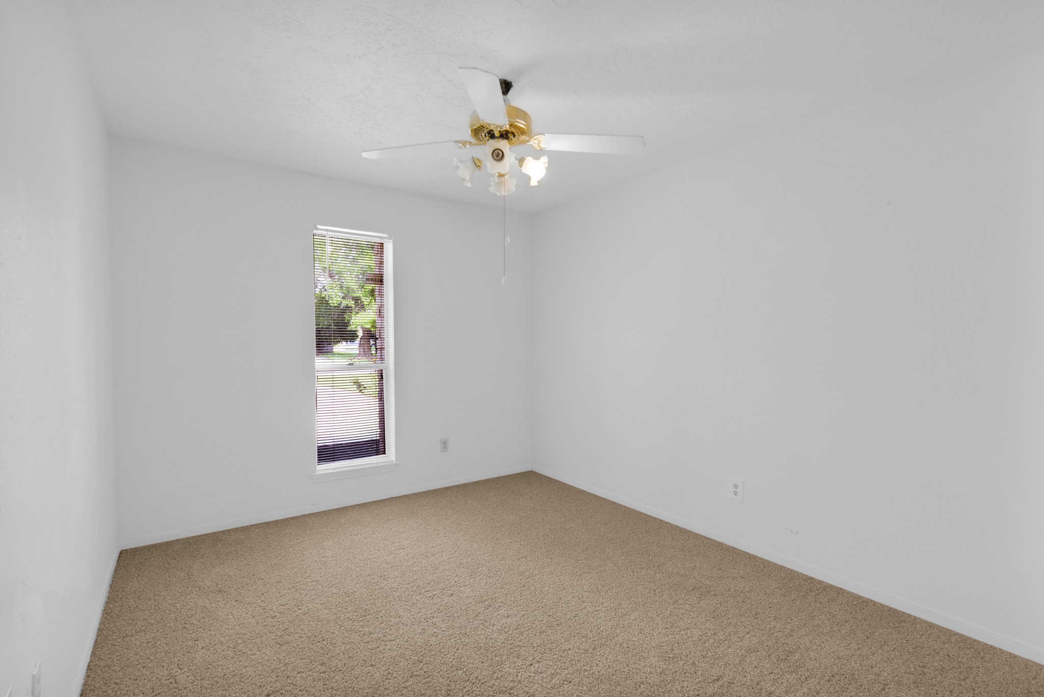 3203 Cherry Creek Drive Property Photo 9