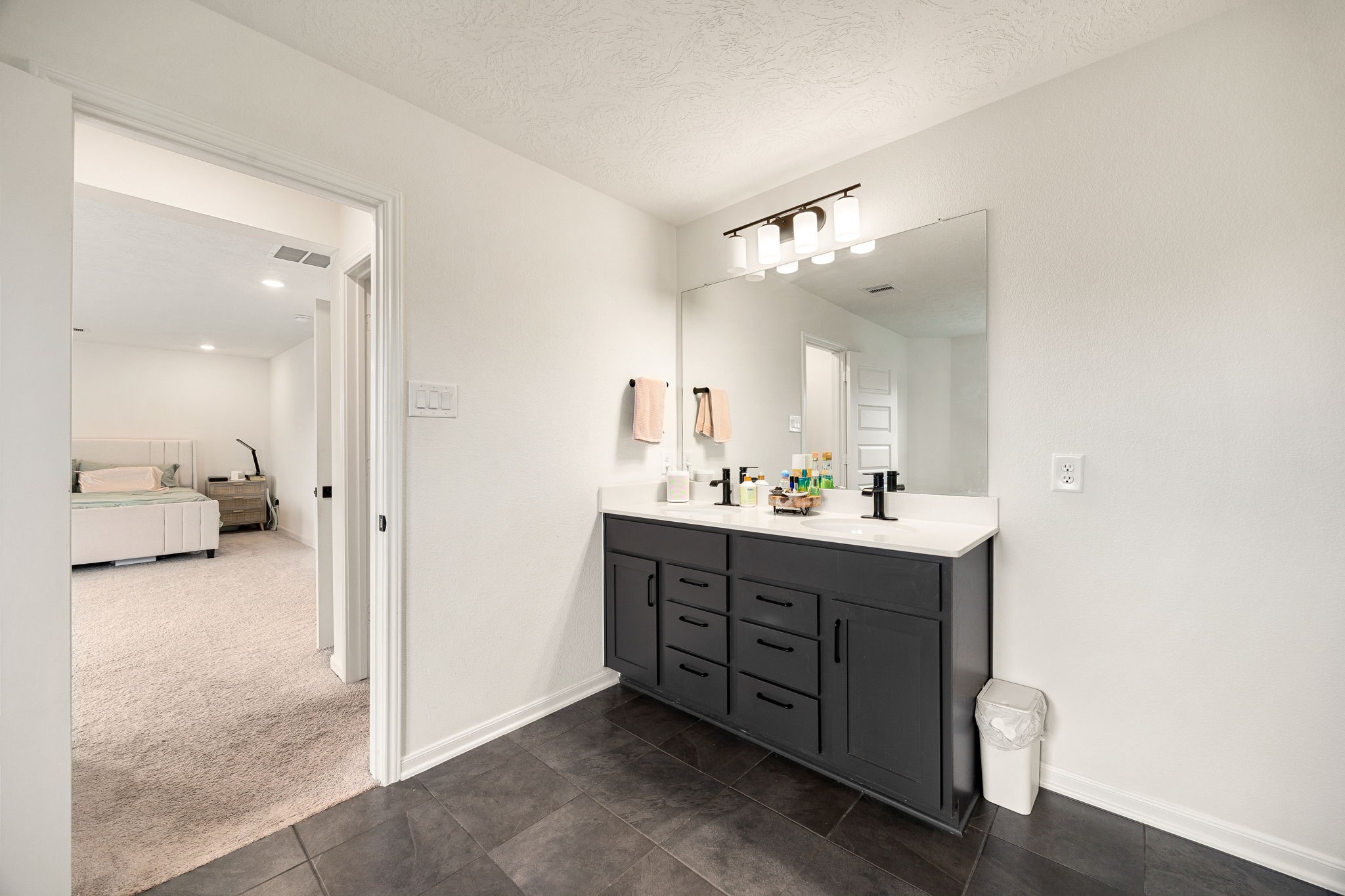 10726 Hidden Arrow Court Property Photo 19