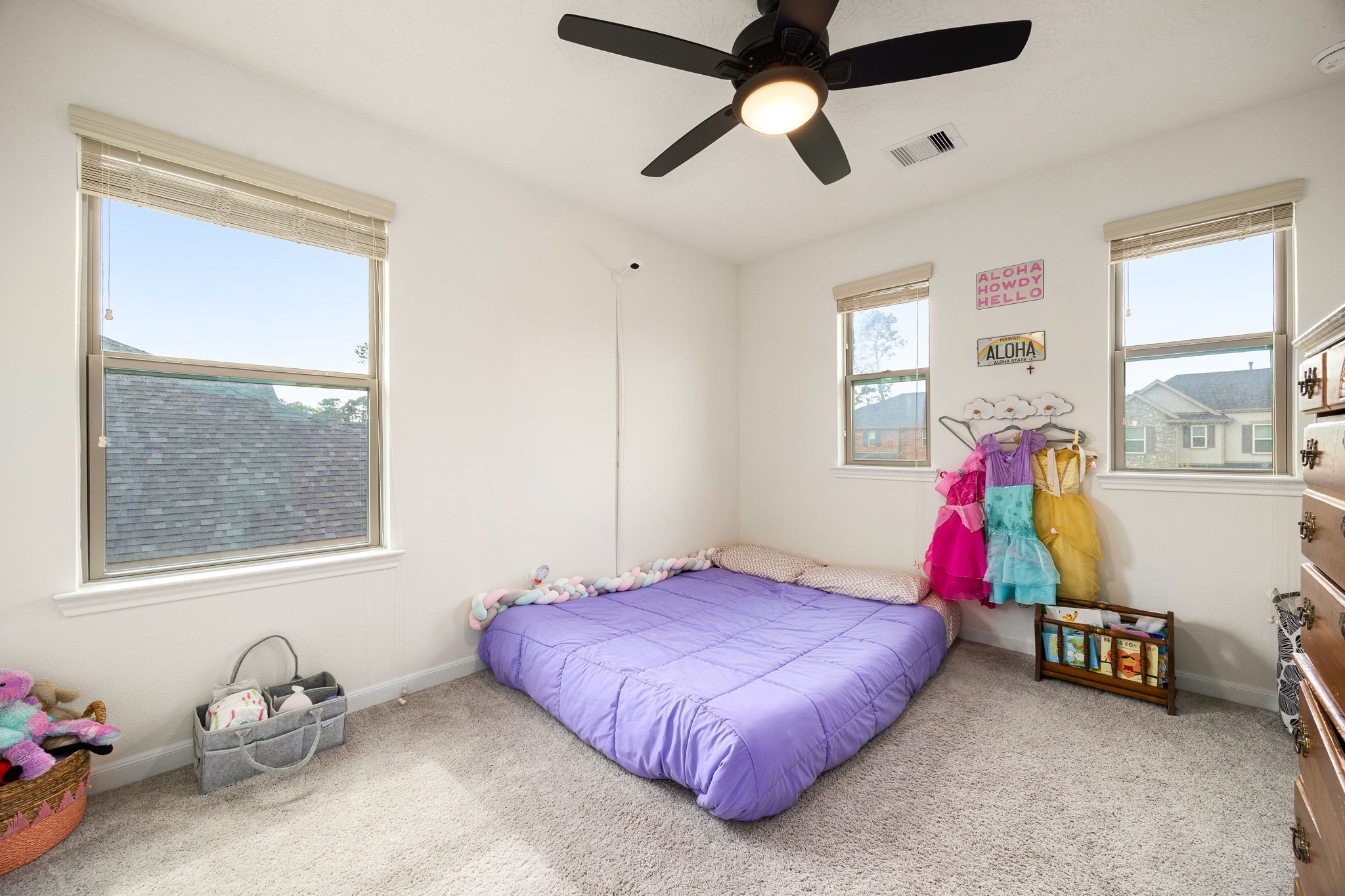 10726 Hidden Arrow Court Property Photo 21