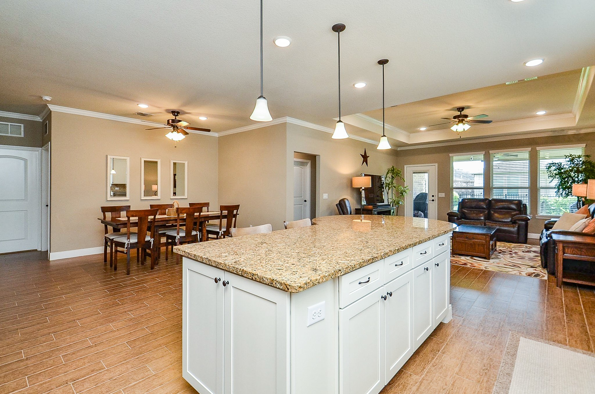 551 Emory Peak Drive Property Photo 8