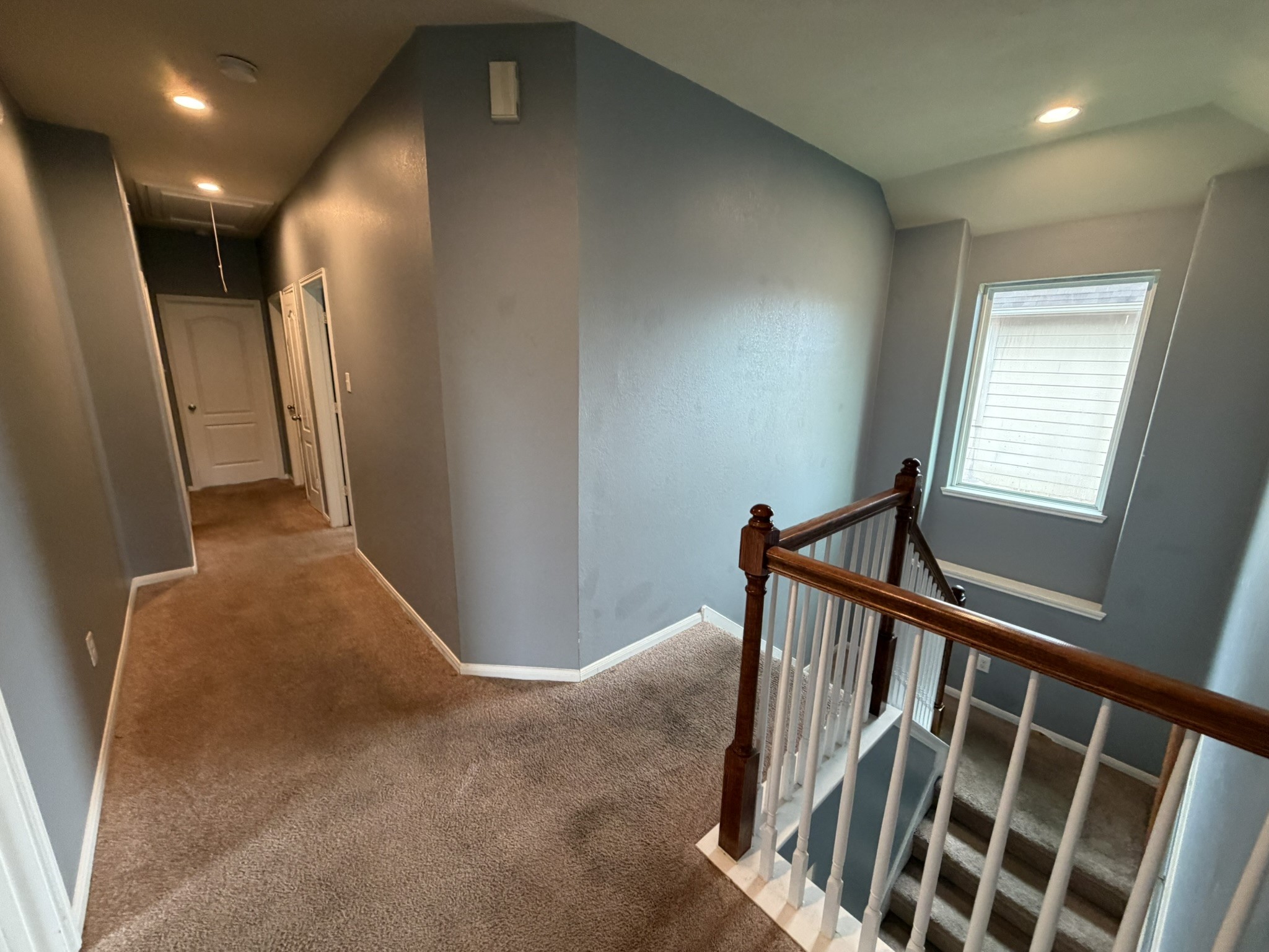 1310 Ainsley Way Drive Property Photo 18