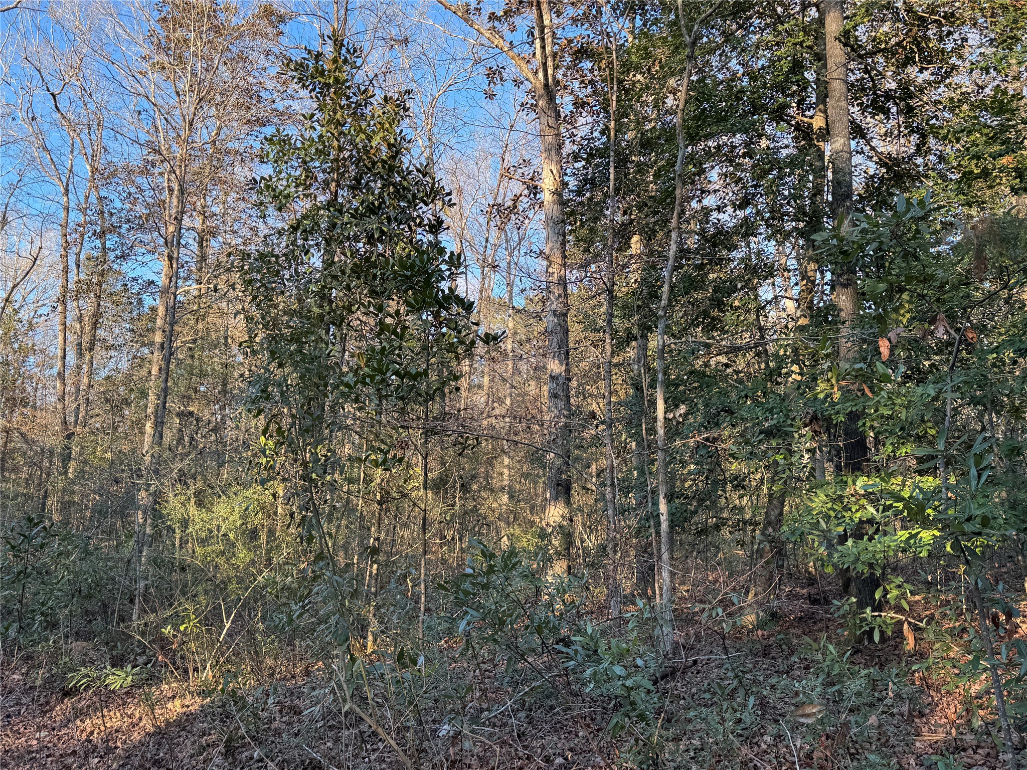 2511 County Road 4280 Property Photo 6