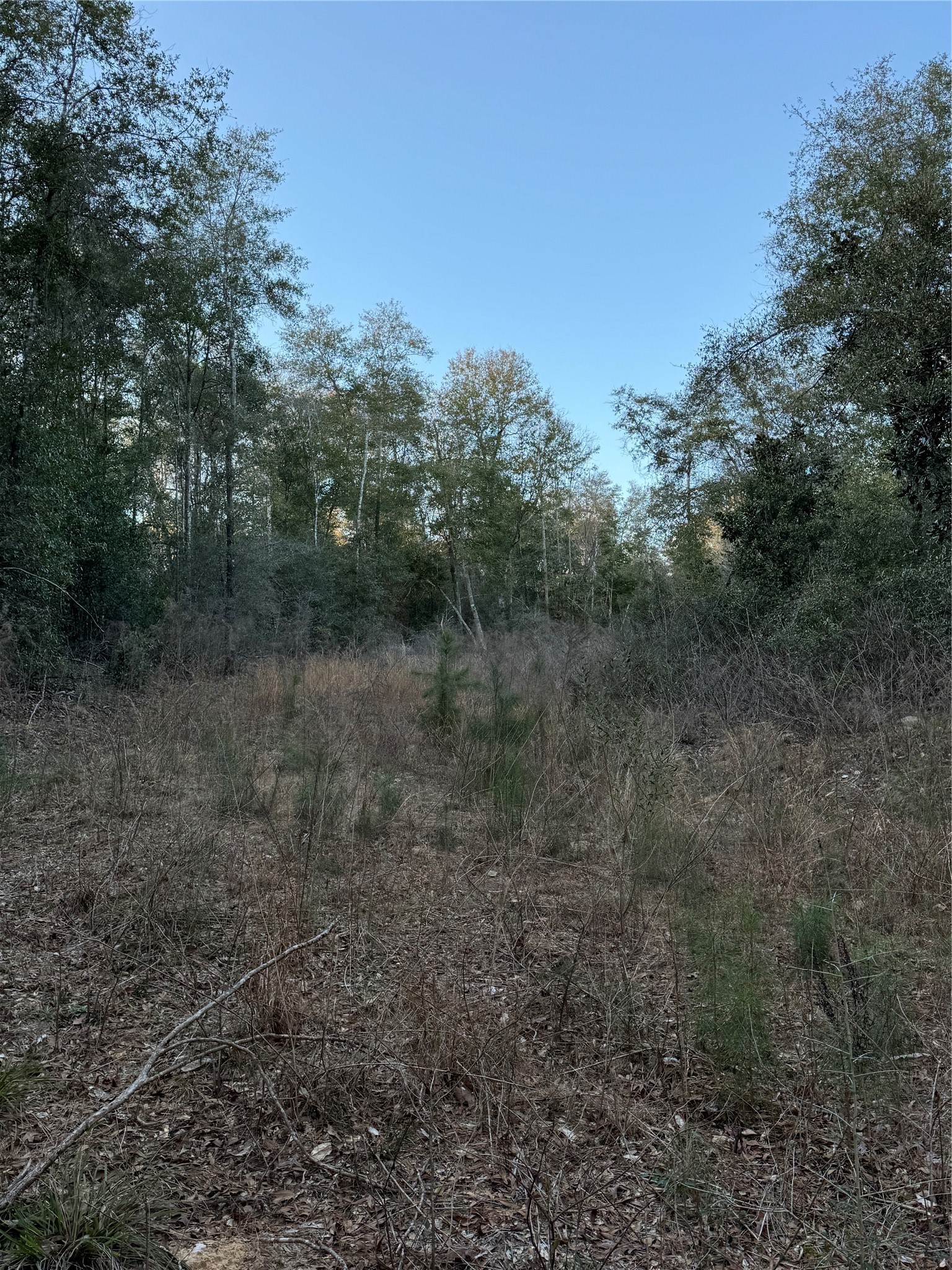2511 County Road 4280 Property Photo 12