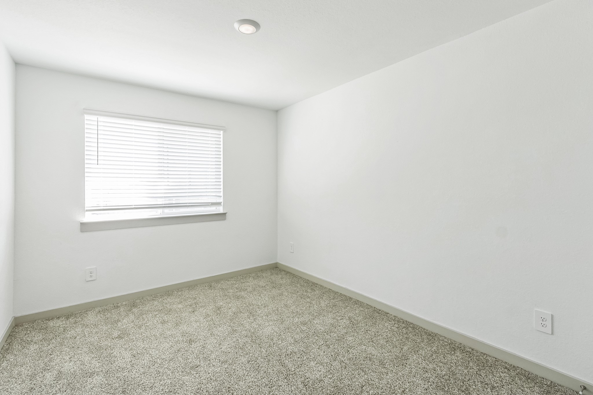14415 Sweet Water Drive Property Photo 15