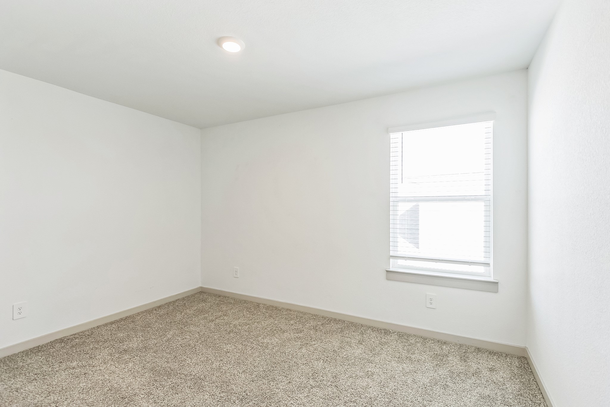 14415 Sweet Water Drive Property Photo 16