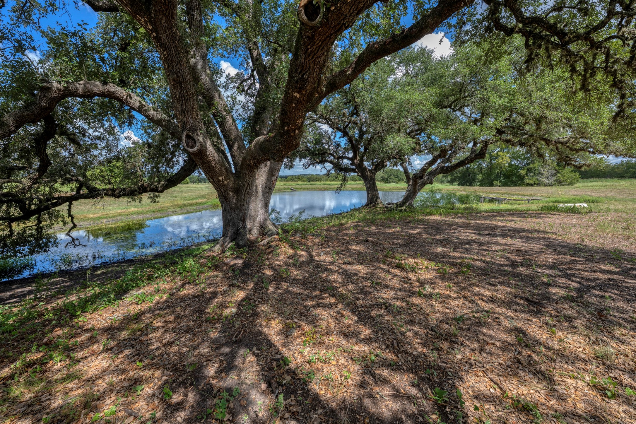 6176 Mount Vernon Road Property Photo 46