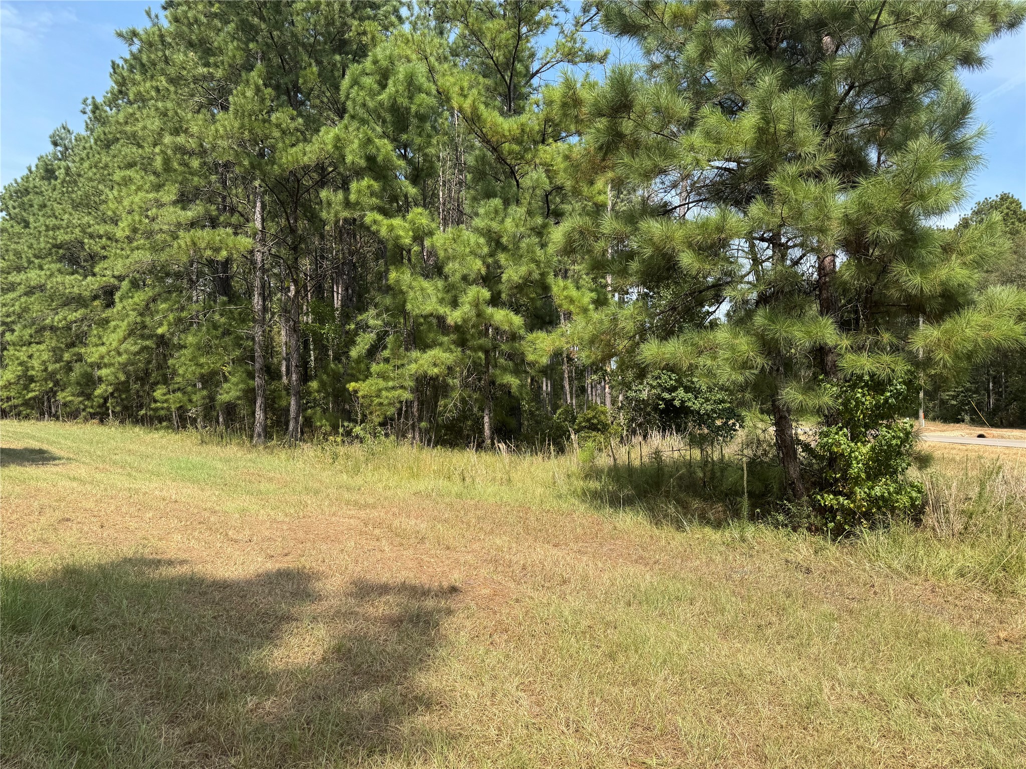 511 Queen Anne Way Property Photo 3