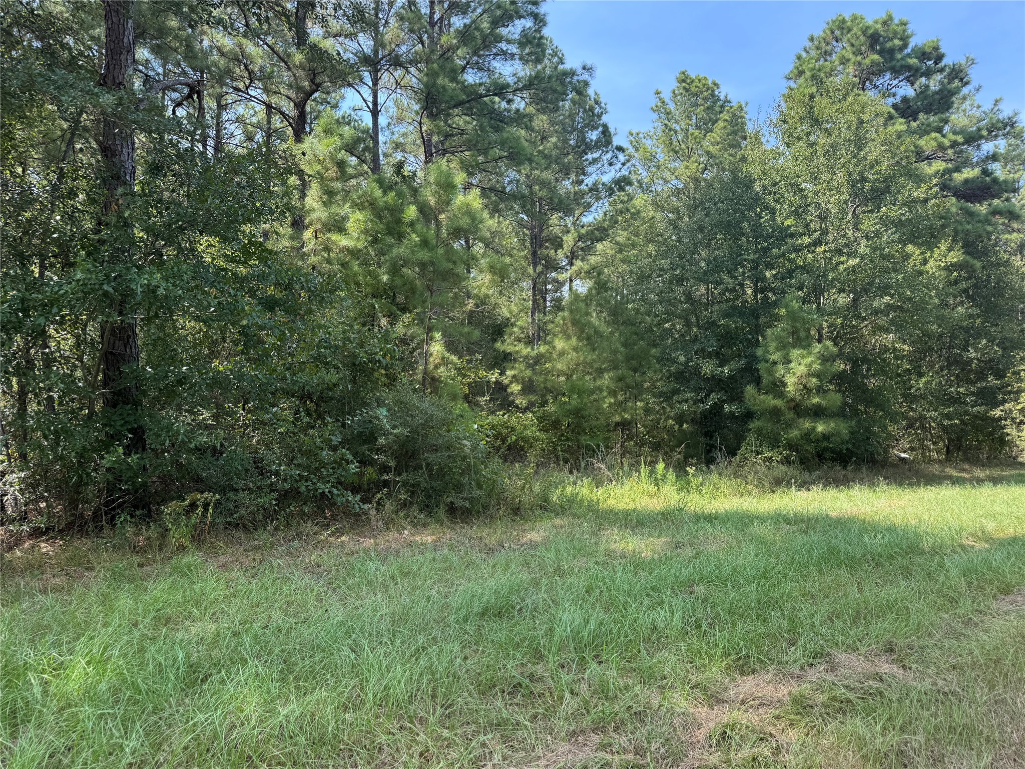 511 Queen Anne Way Property Photo 4