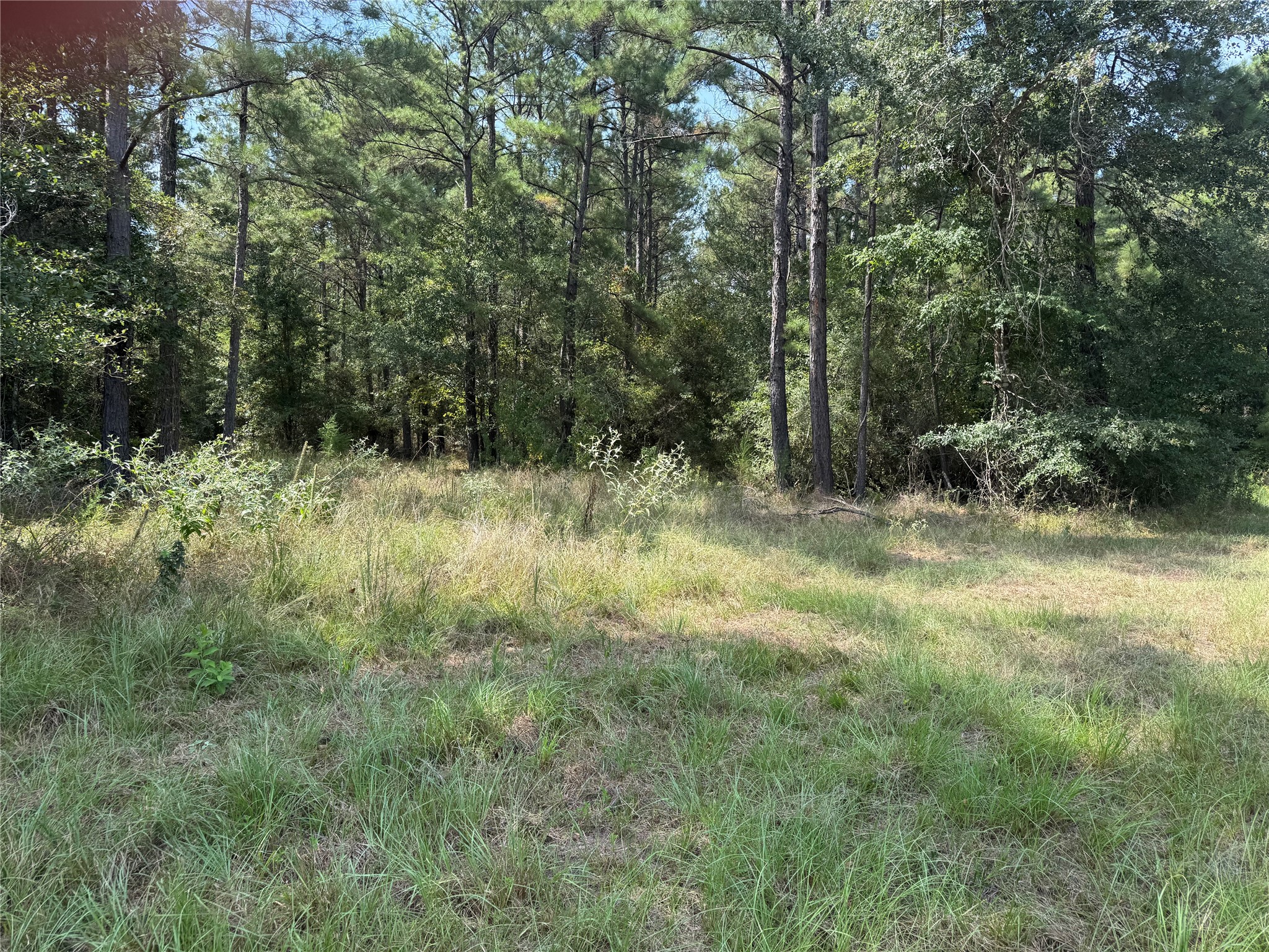 511 Queen Anne Way Property Photo 8