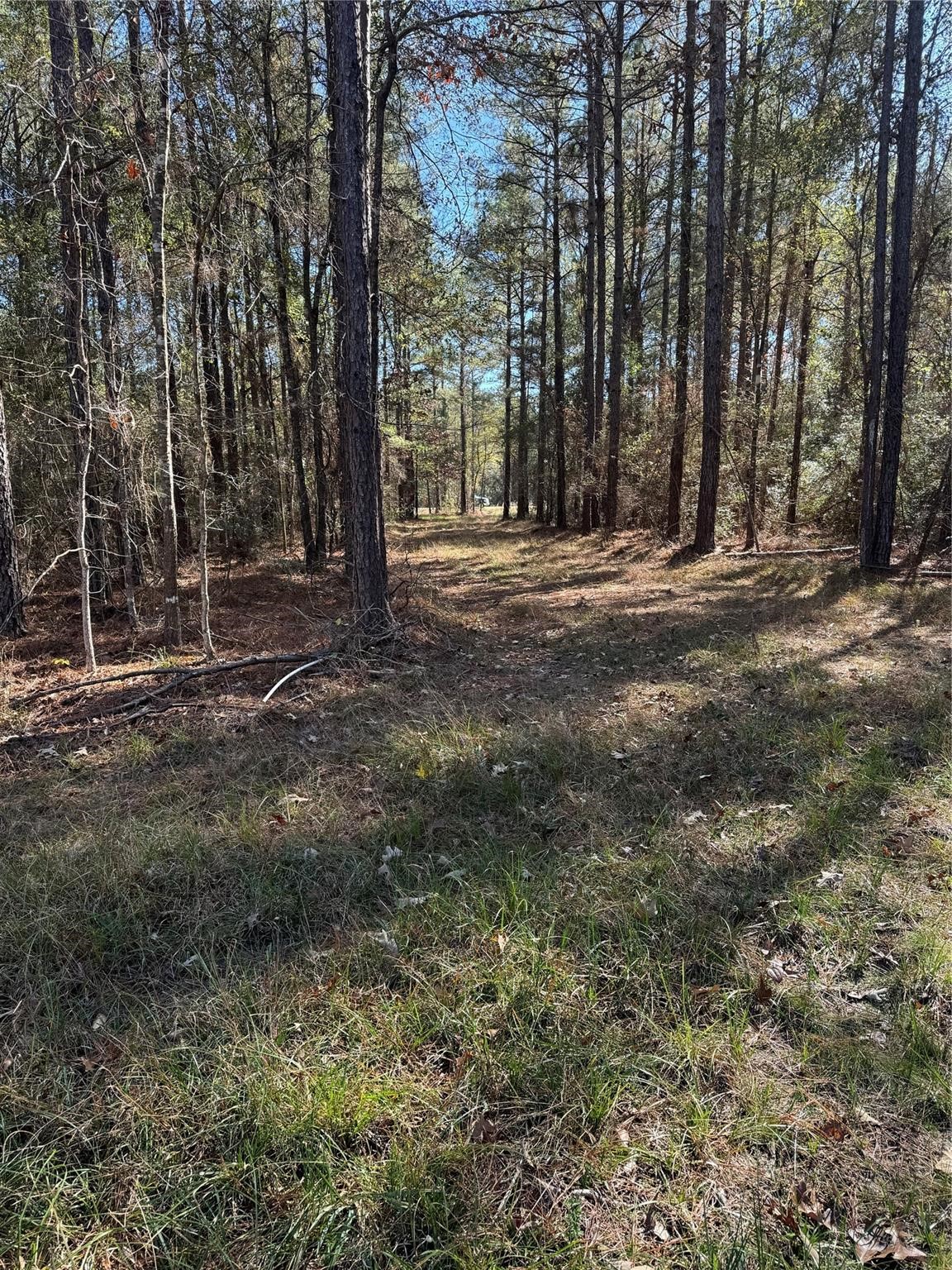 511 Queen Anne Way Property Photo 10