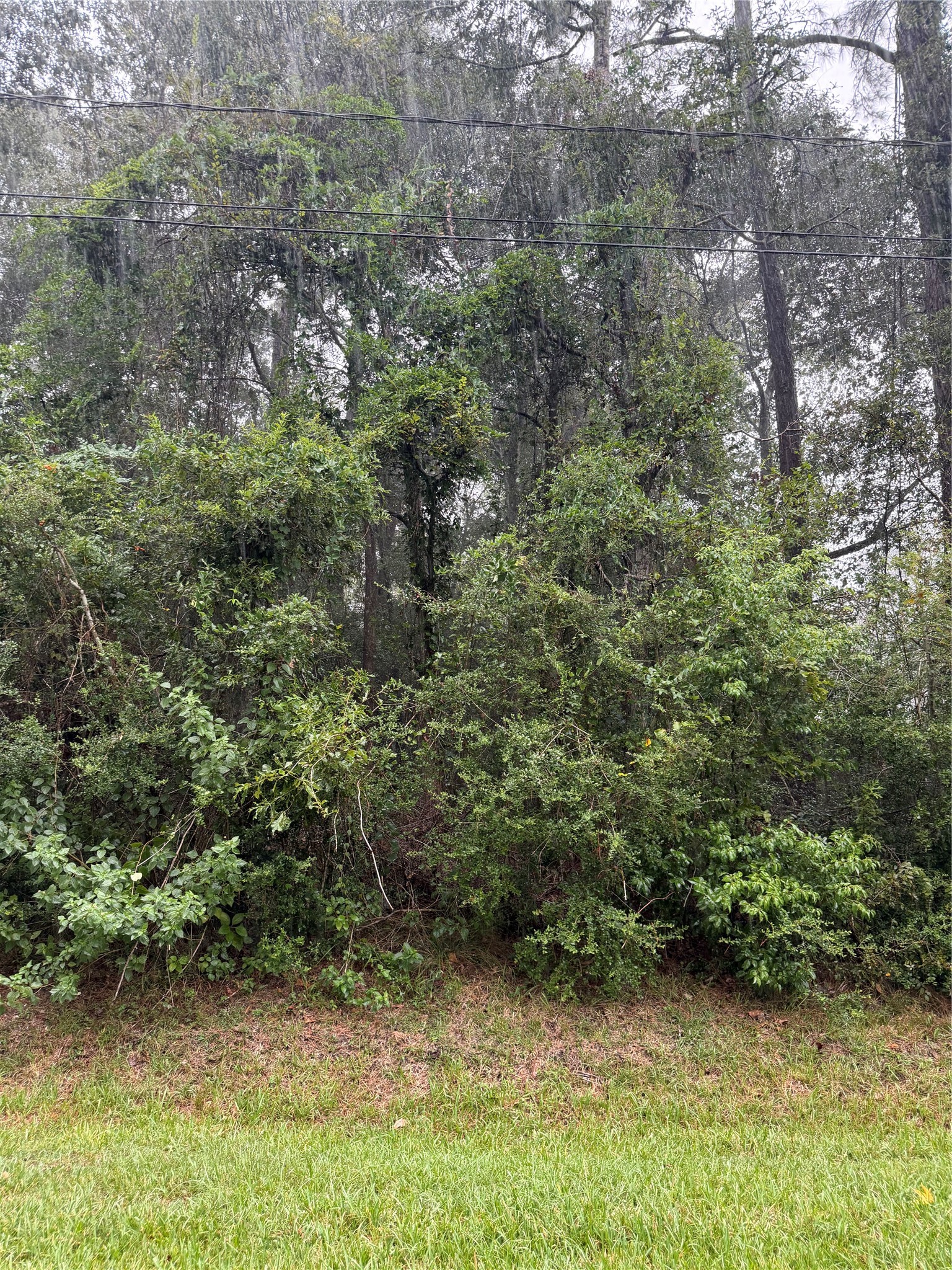 0 Waterfall Drive Property Photo 1