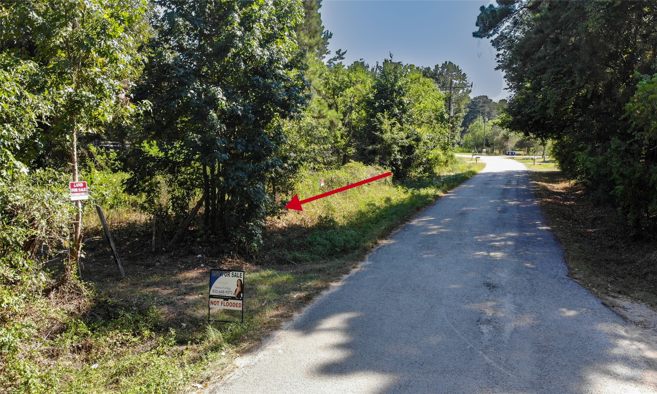 12889 Coon Massey Road Property Photo 9
