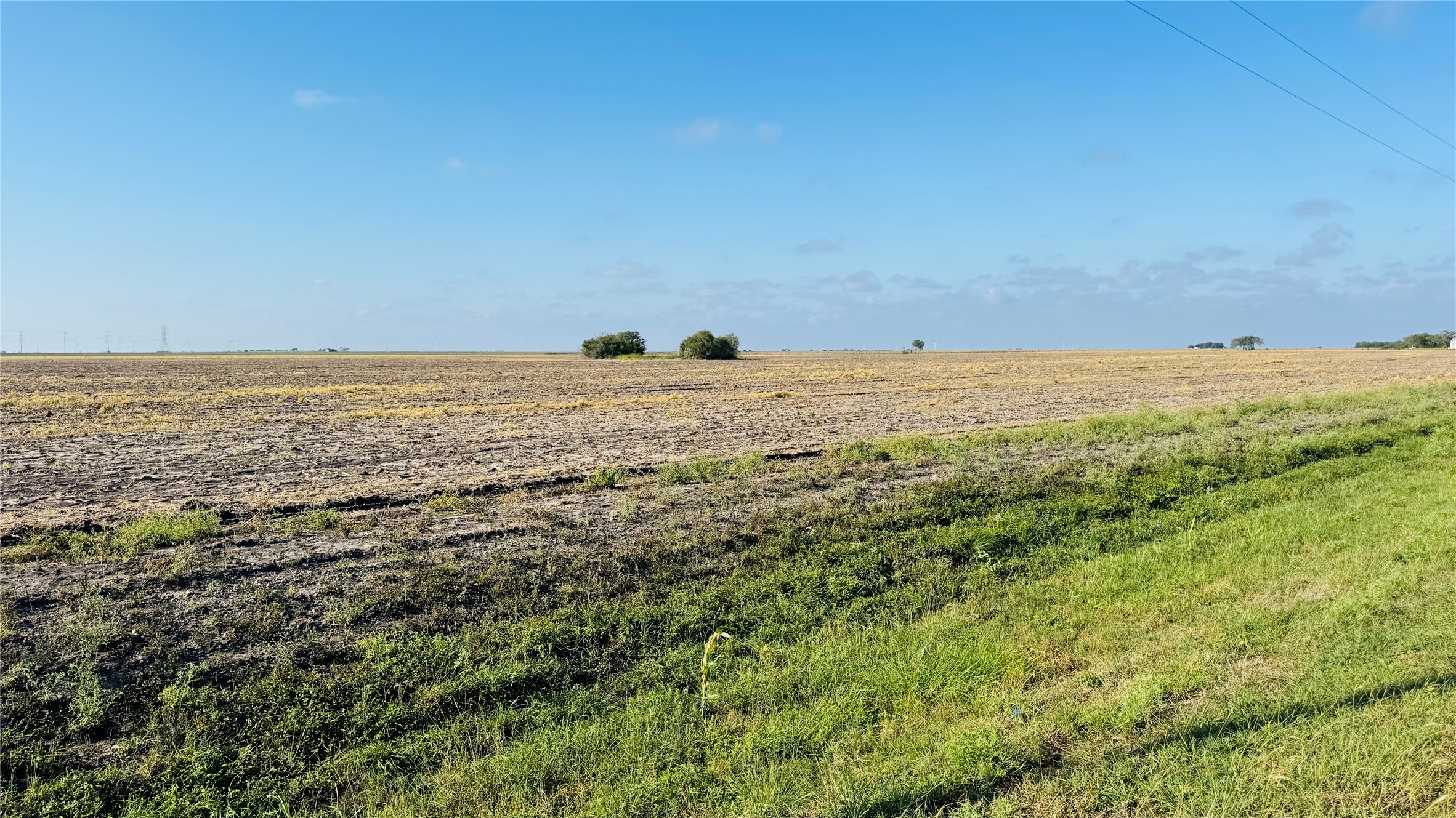 Lot 2 County Road 798 Property Photo 3
