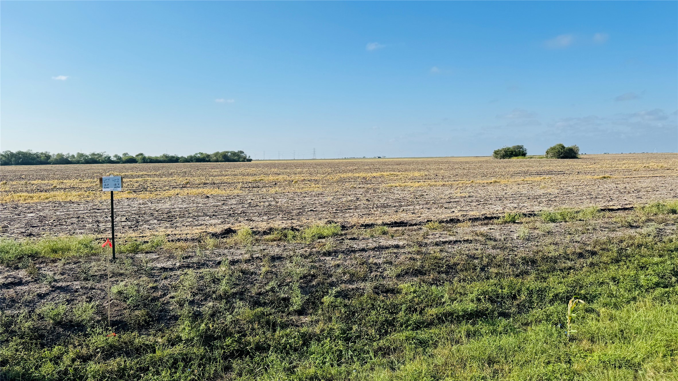 Lot 2 County Road 798 Property Photo 4