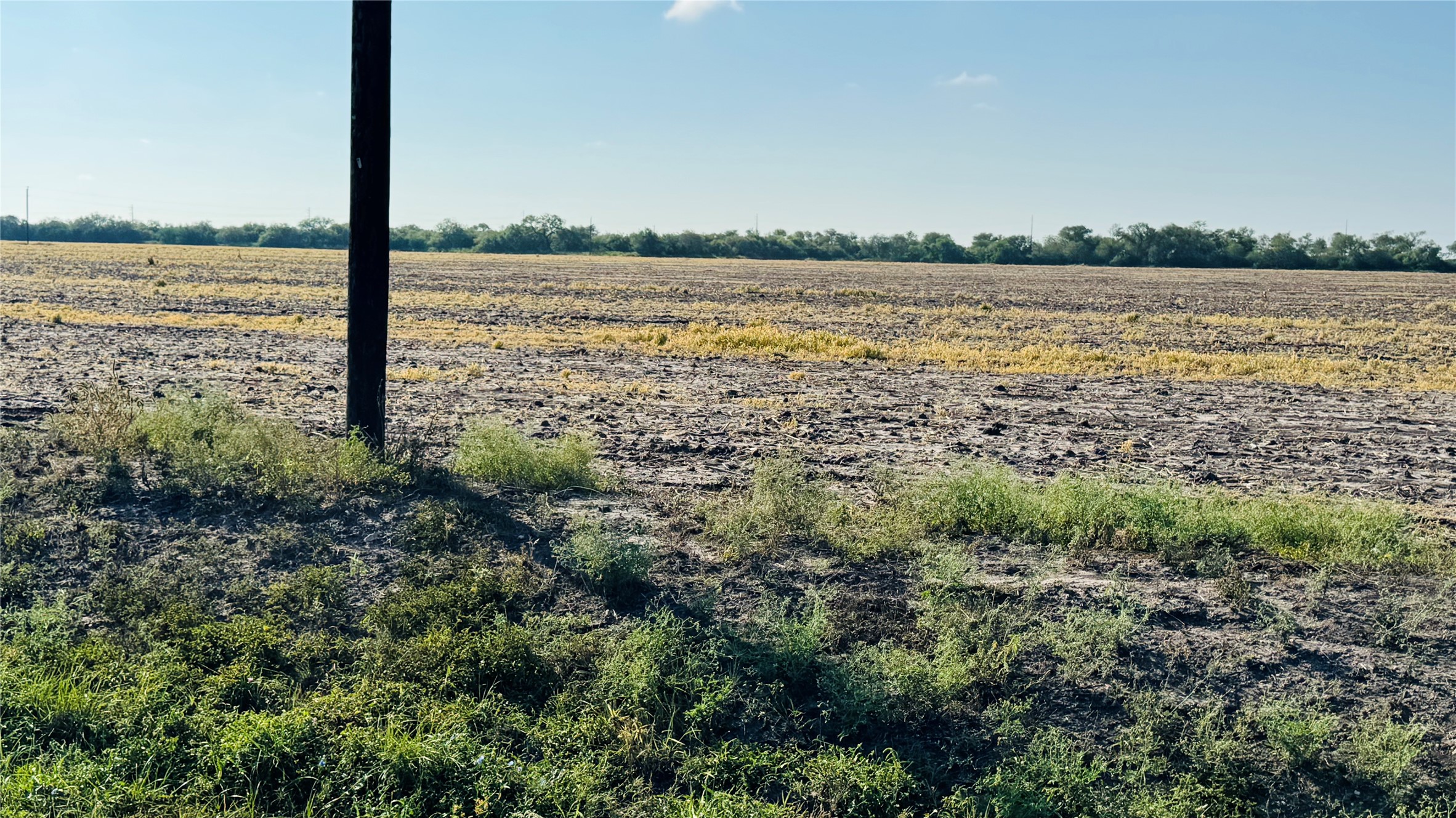 Lot 2 County Road 798 Property Photo 6