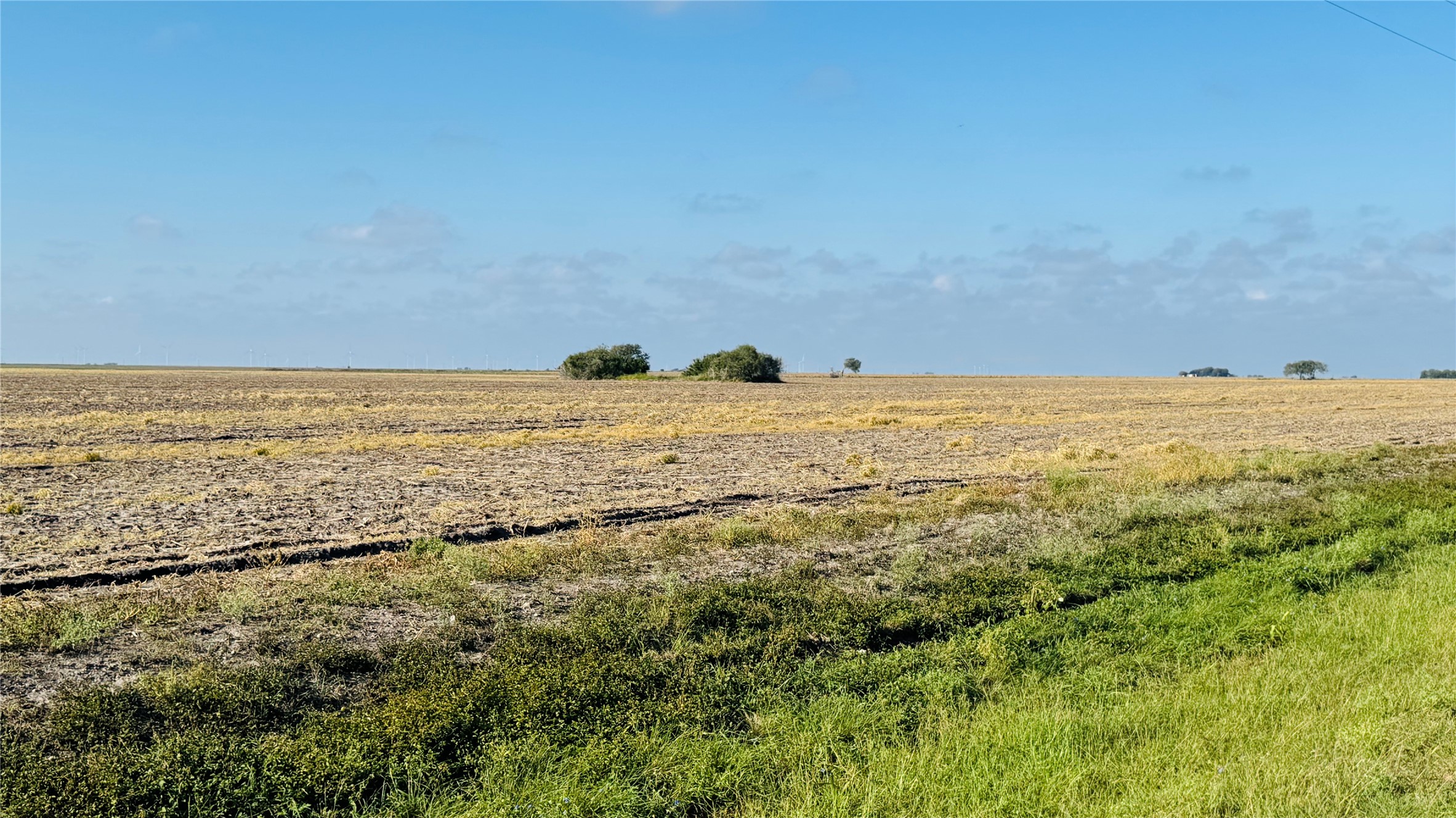 Lot 2 County Road 798 Property Photo 9