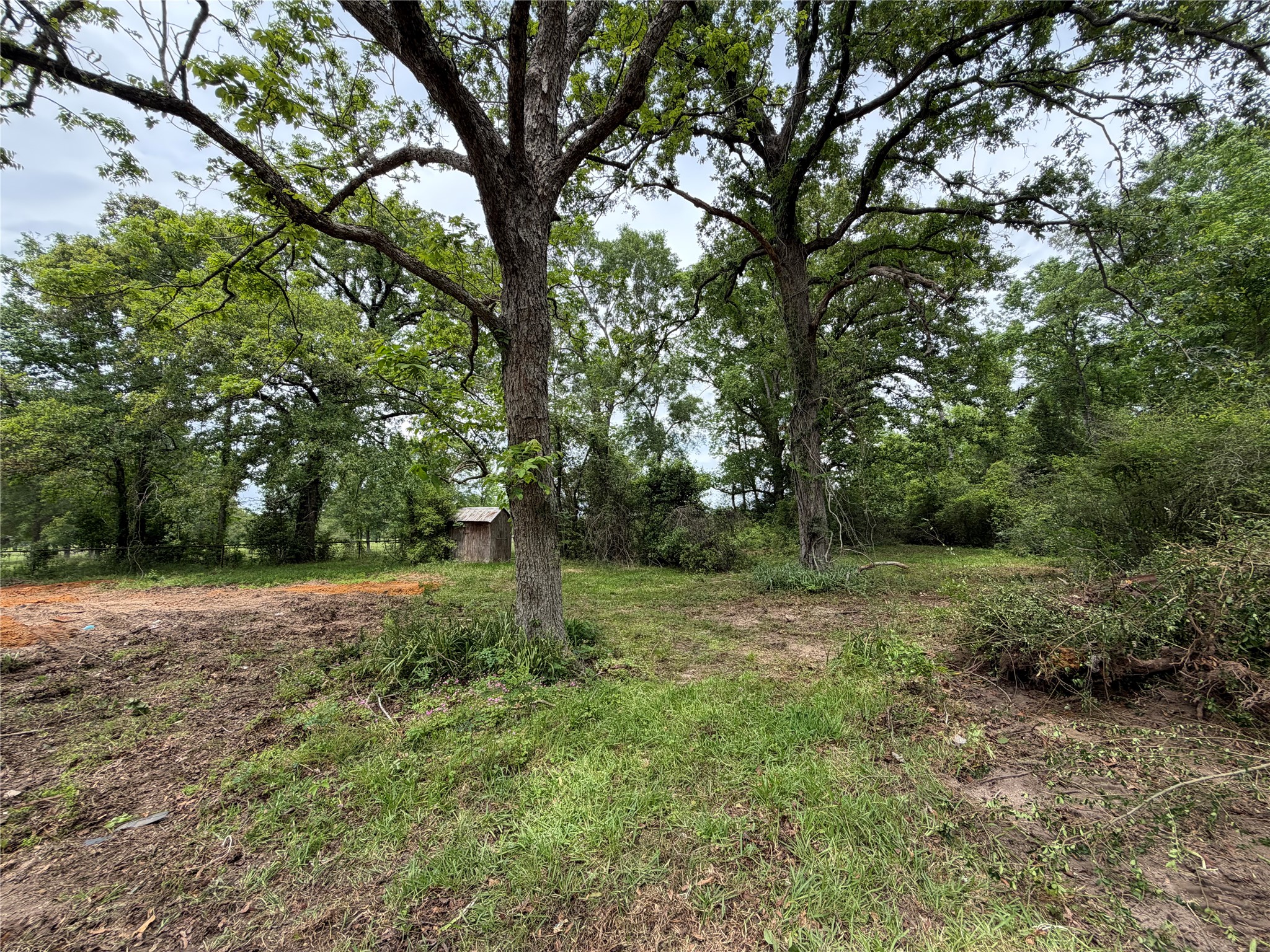 4831 Menard Chapel Road Property Photo 3