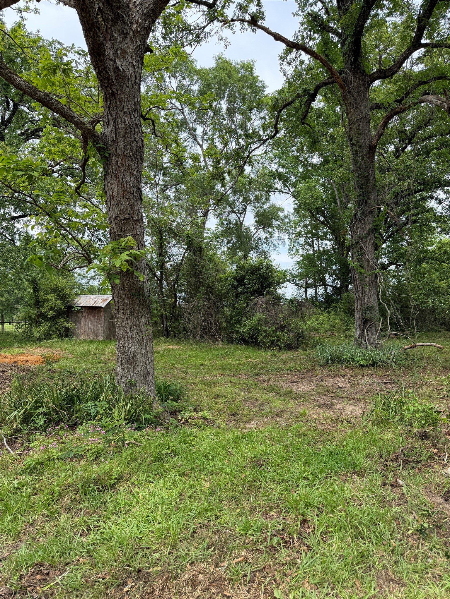 4831 Menard Chapel Road Property Photo 7