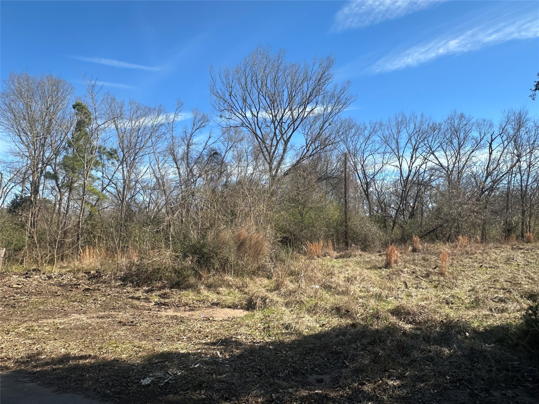2ac Josie Lane Property Photo 4
