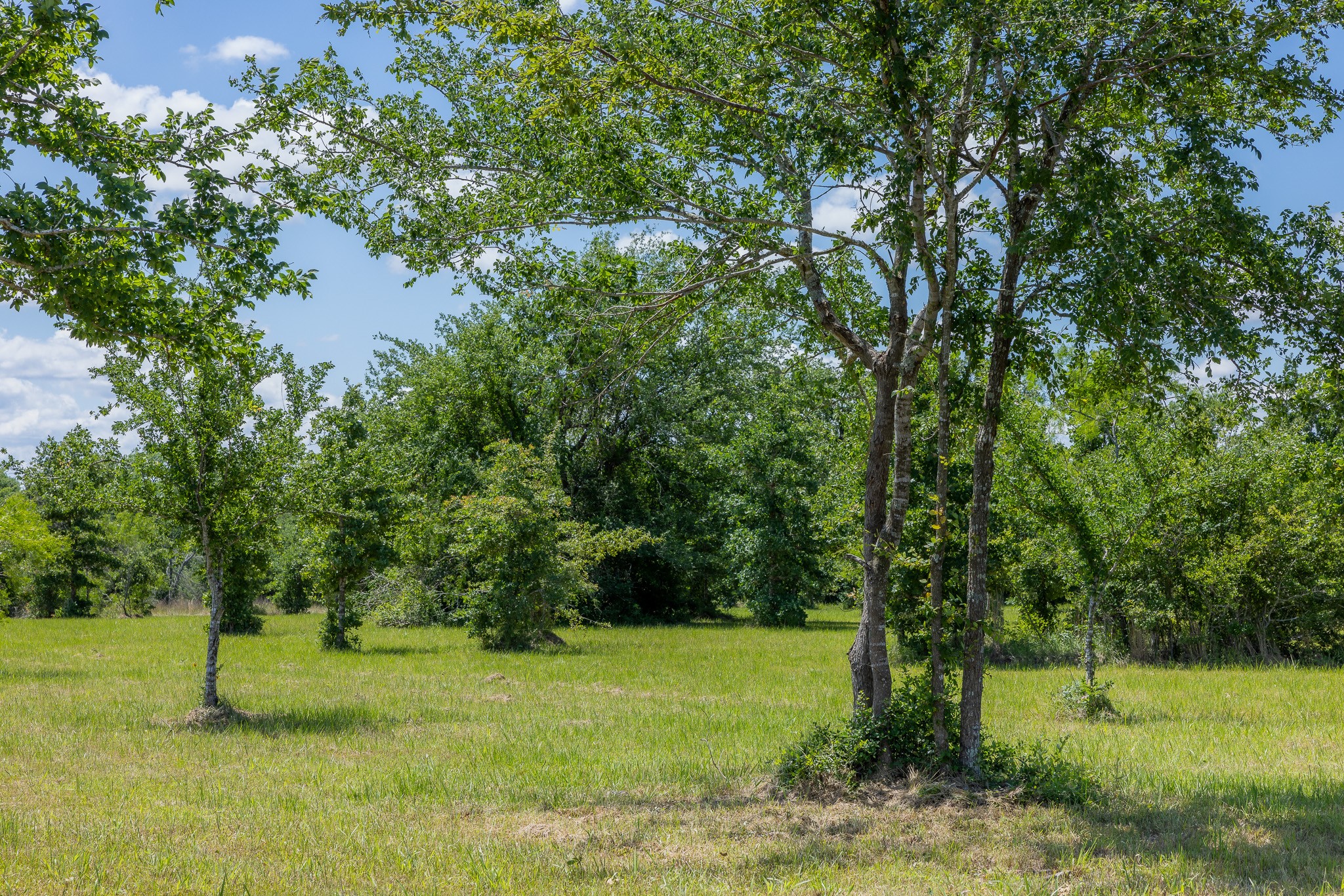 6798 Atakapan Trail Property Photo 4