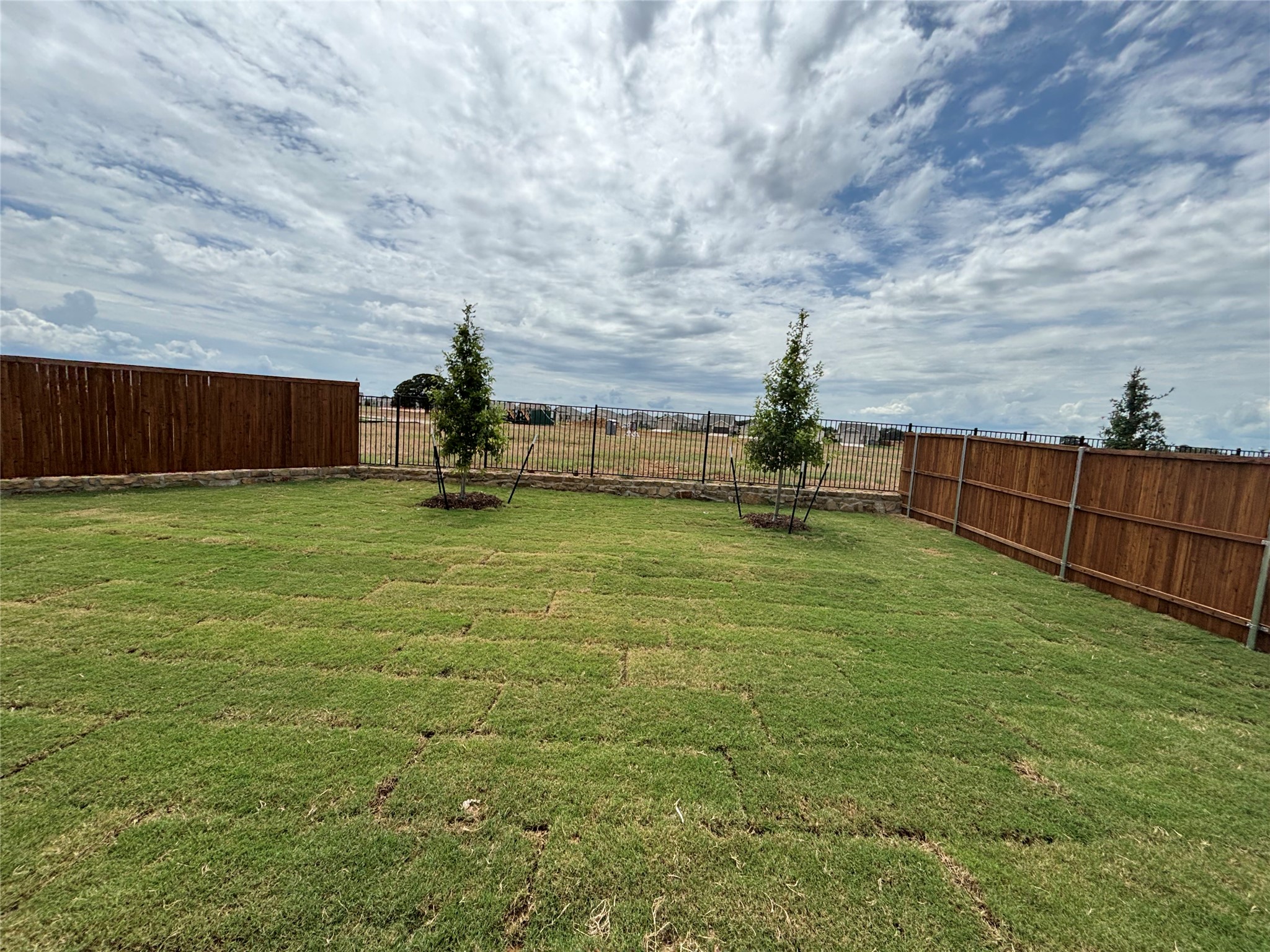 26827 Scarlet Willow Drive Property Photo 35