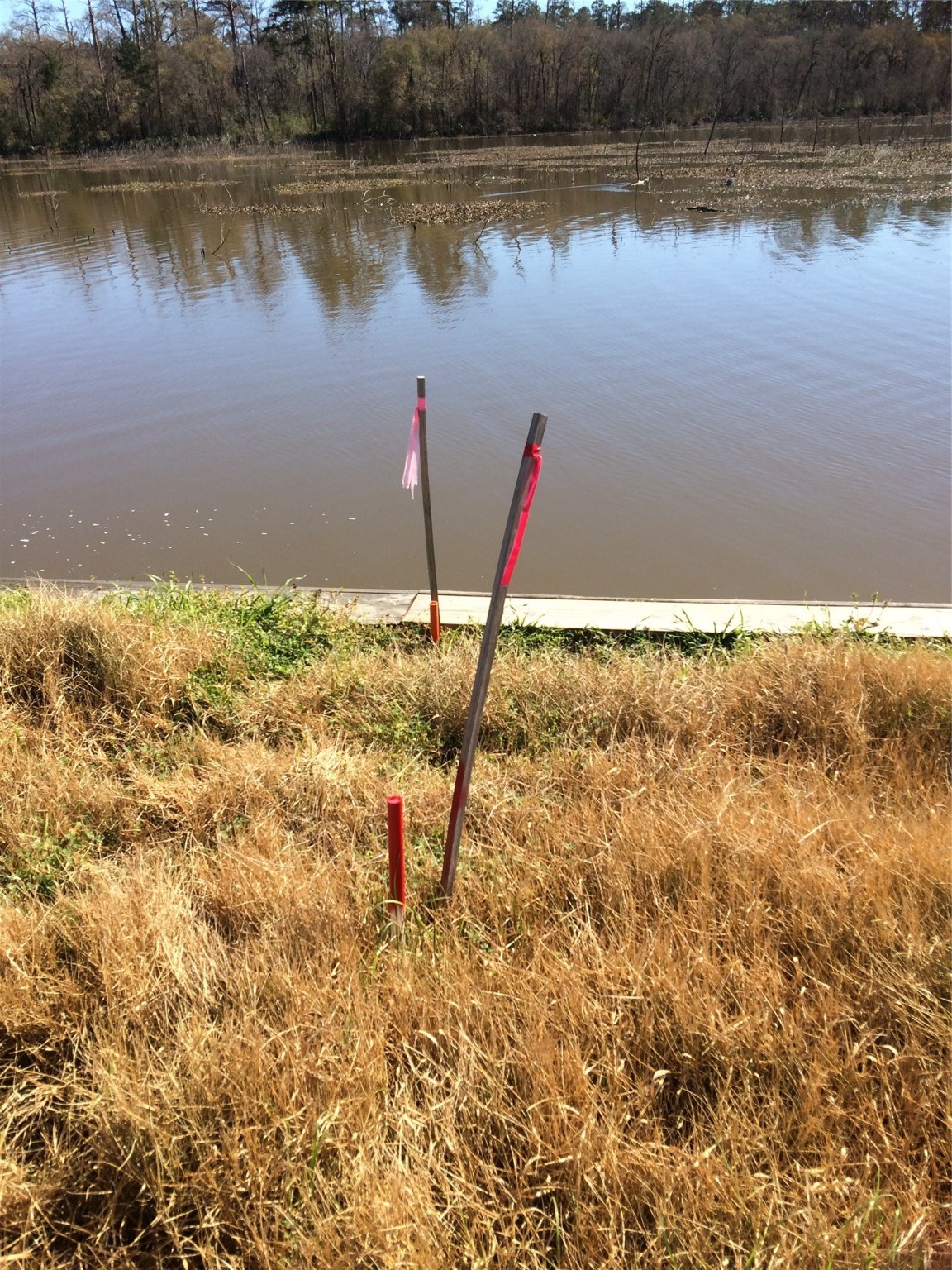 16 Lookout Ridge Property Photo 4