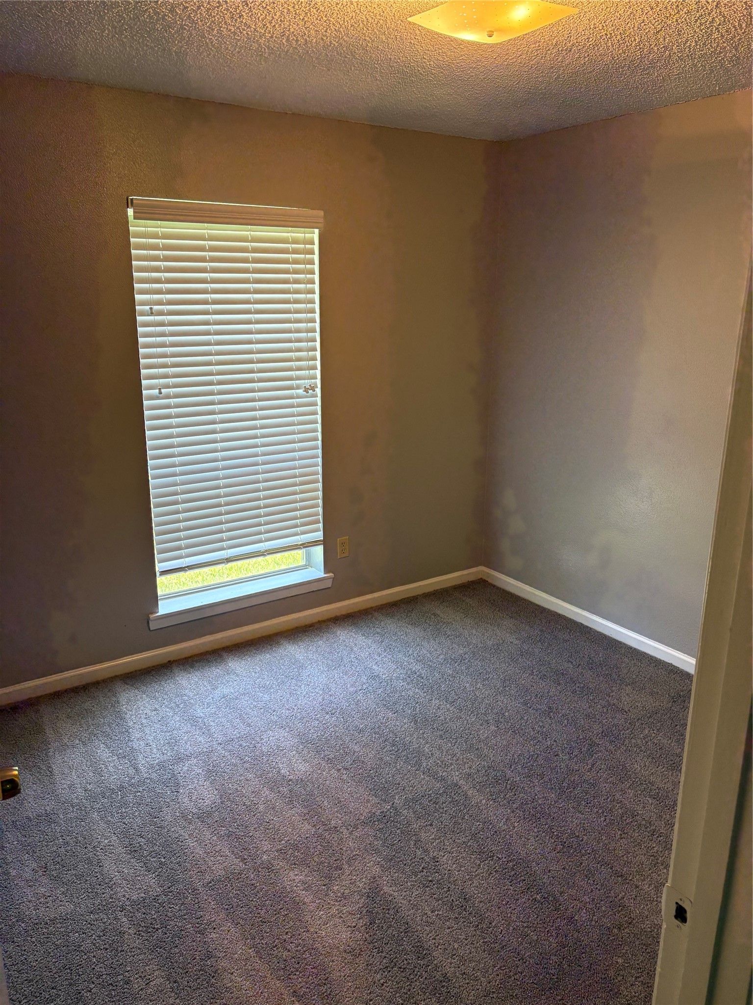 226 E Dumble Street Property Photo 5