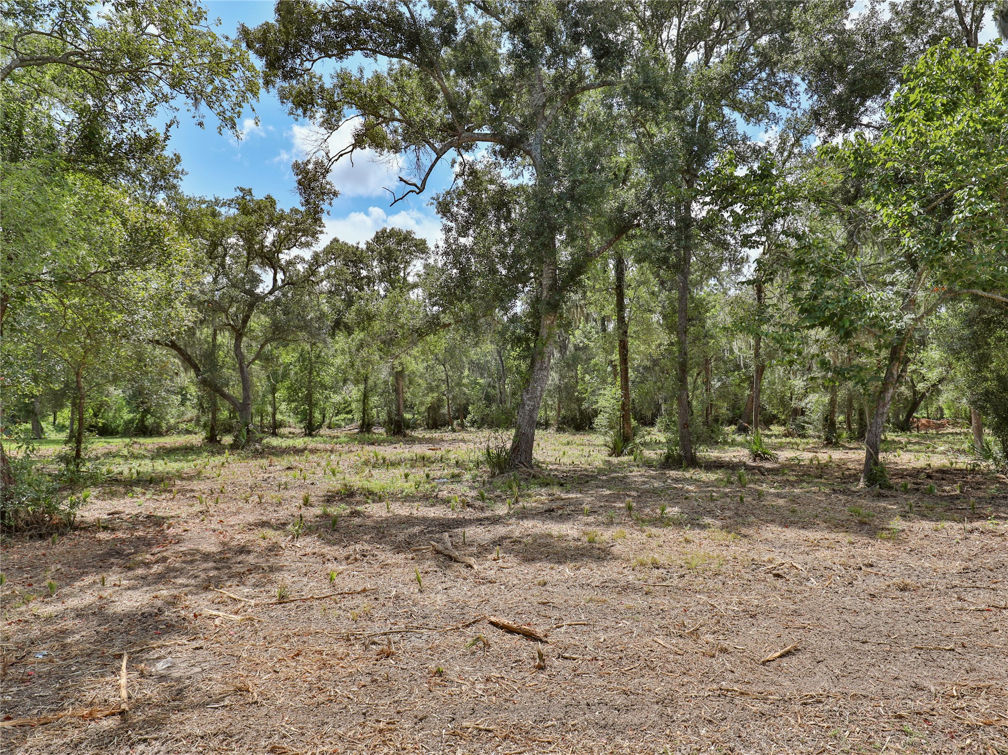 2289 Cr-851 Property Photo 1
