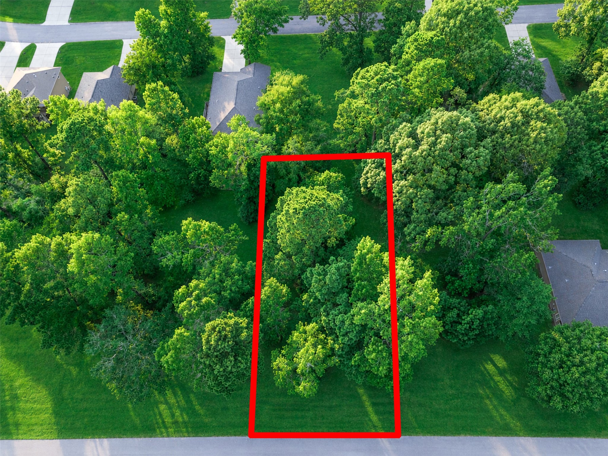 100 N Forest Drive Property Photo 1