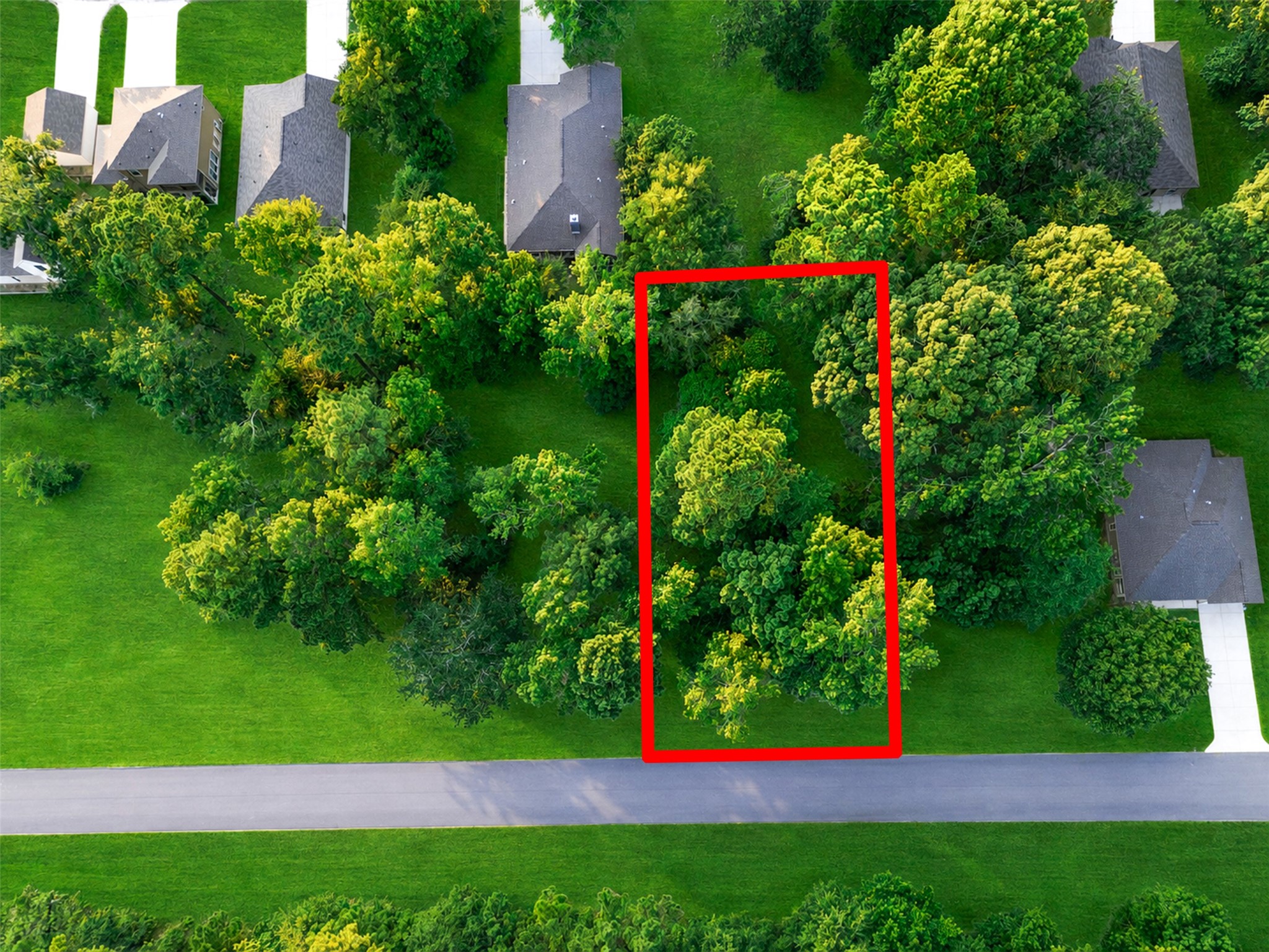 100 N Forest Drive Property Photo 2