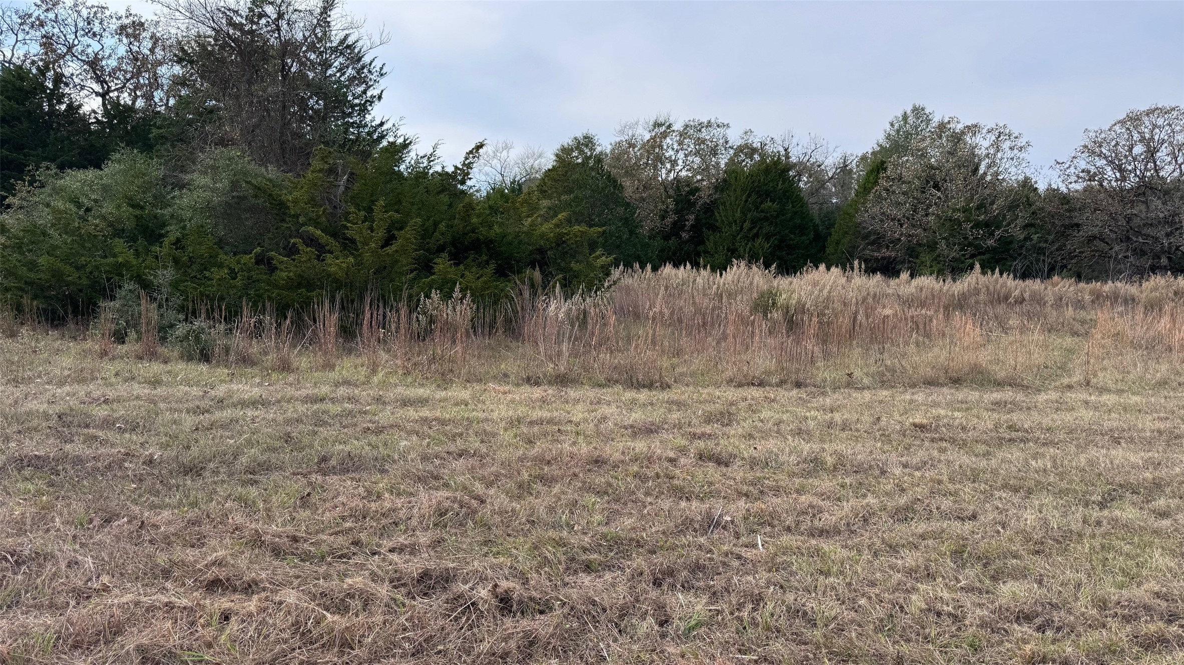 3674-3698 County Road 427 Property Photo 3