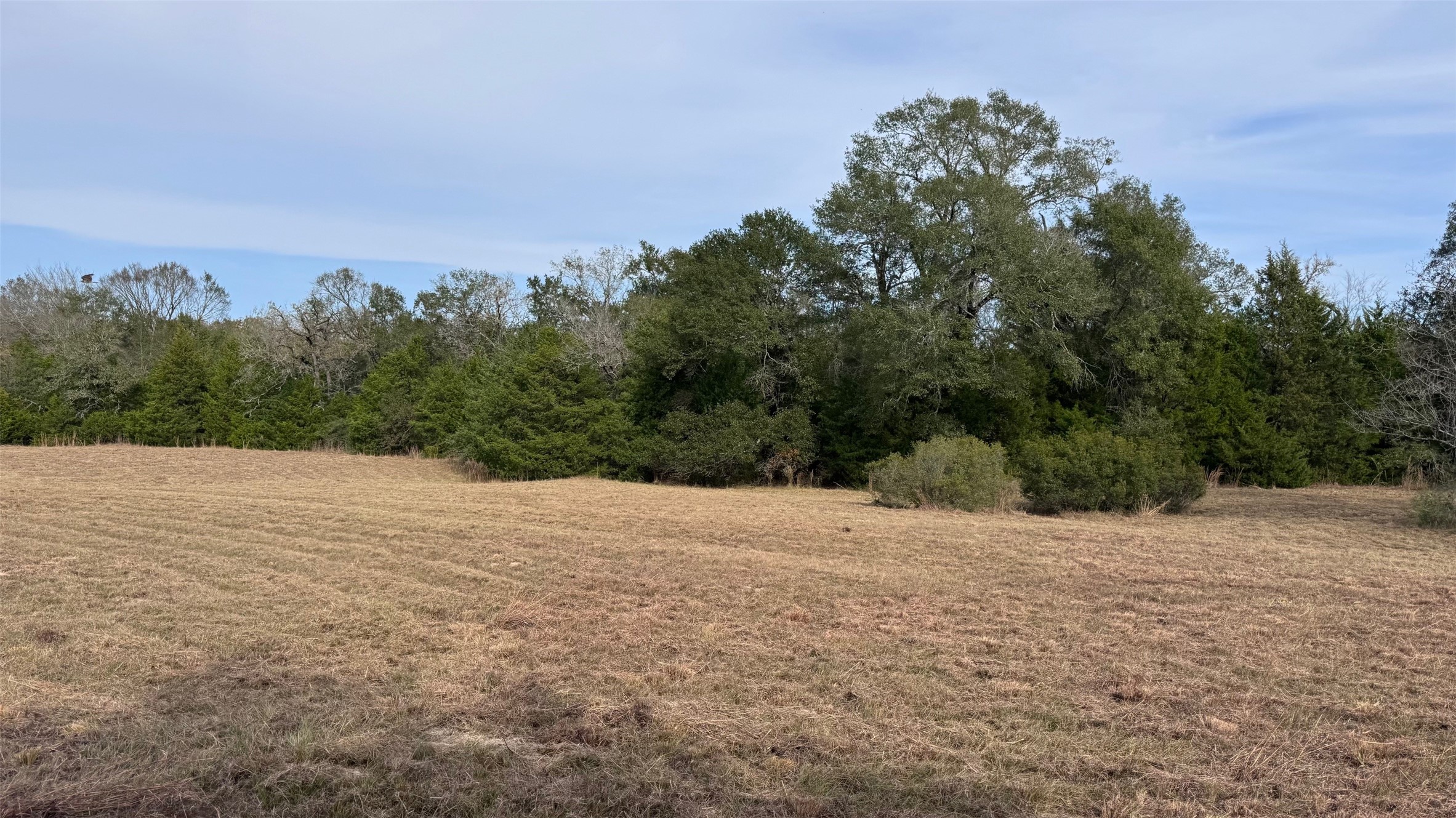 3674-3698 County Road 427 Property Photo 6