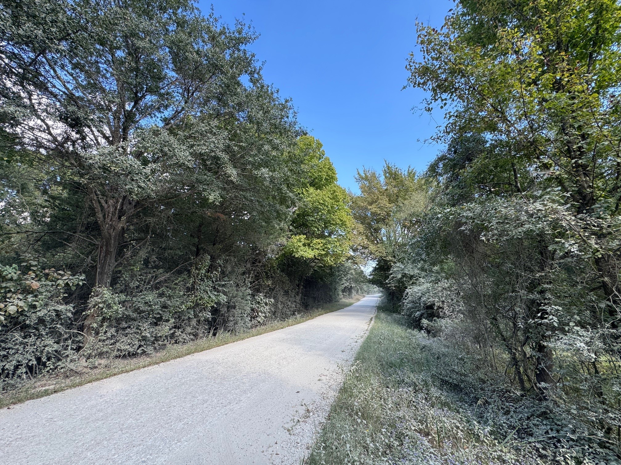 3674-3698 County Road 427 Property Photo 9