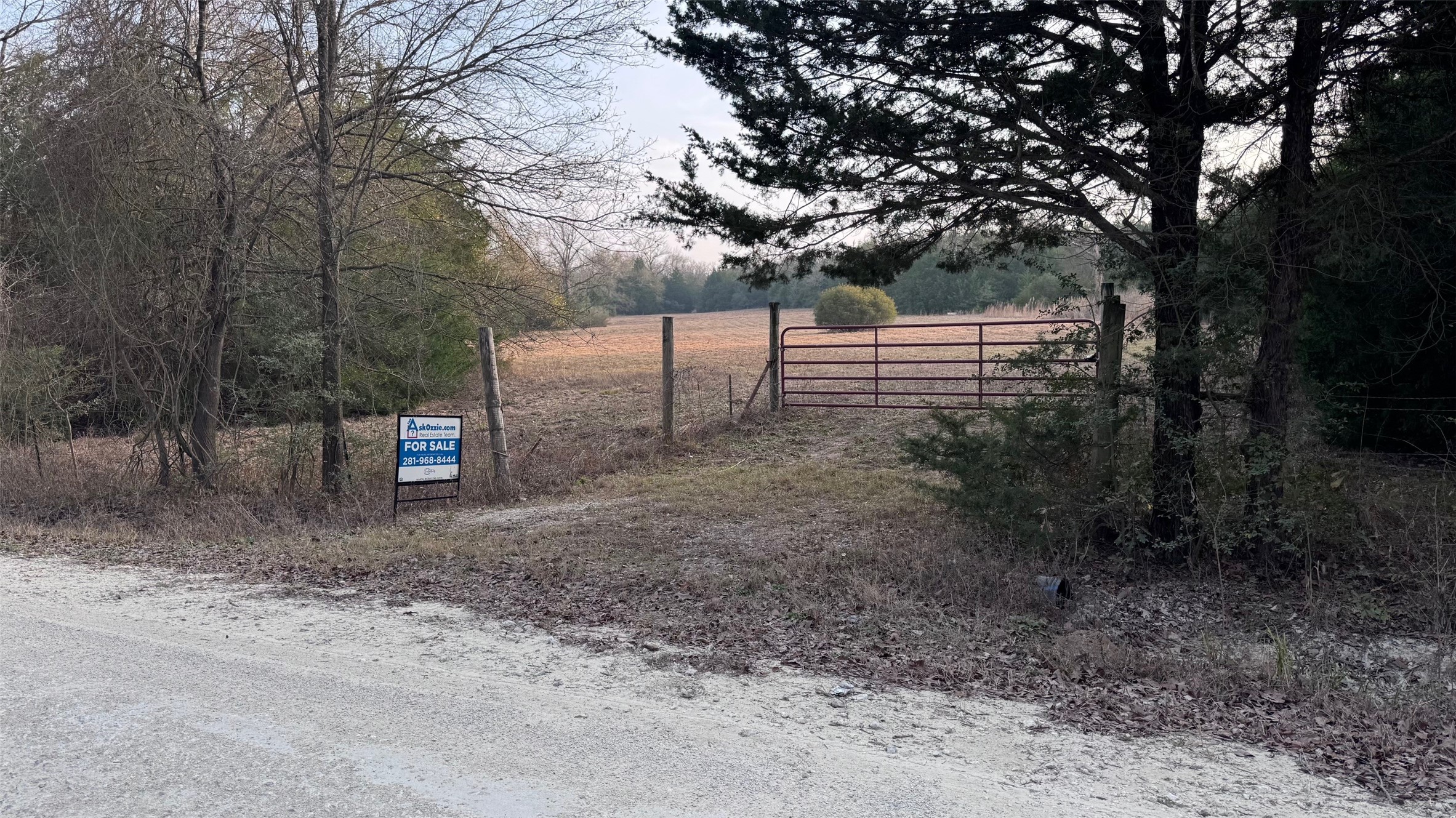 3674-3698 County Road 427 Property Photo 14
