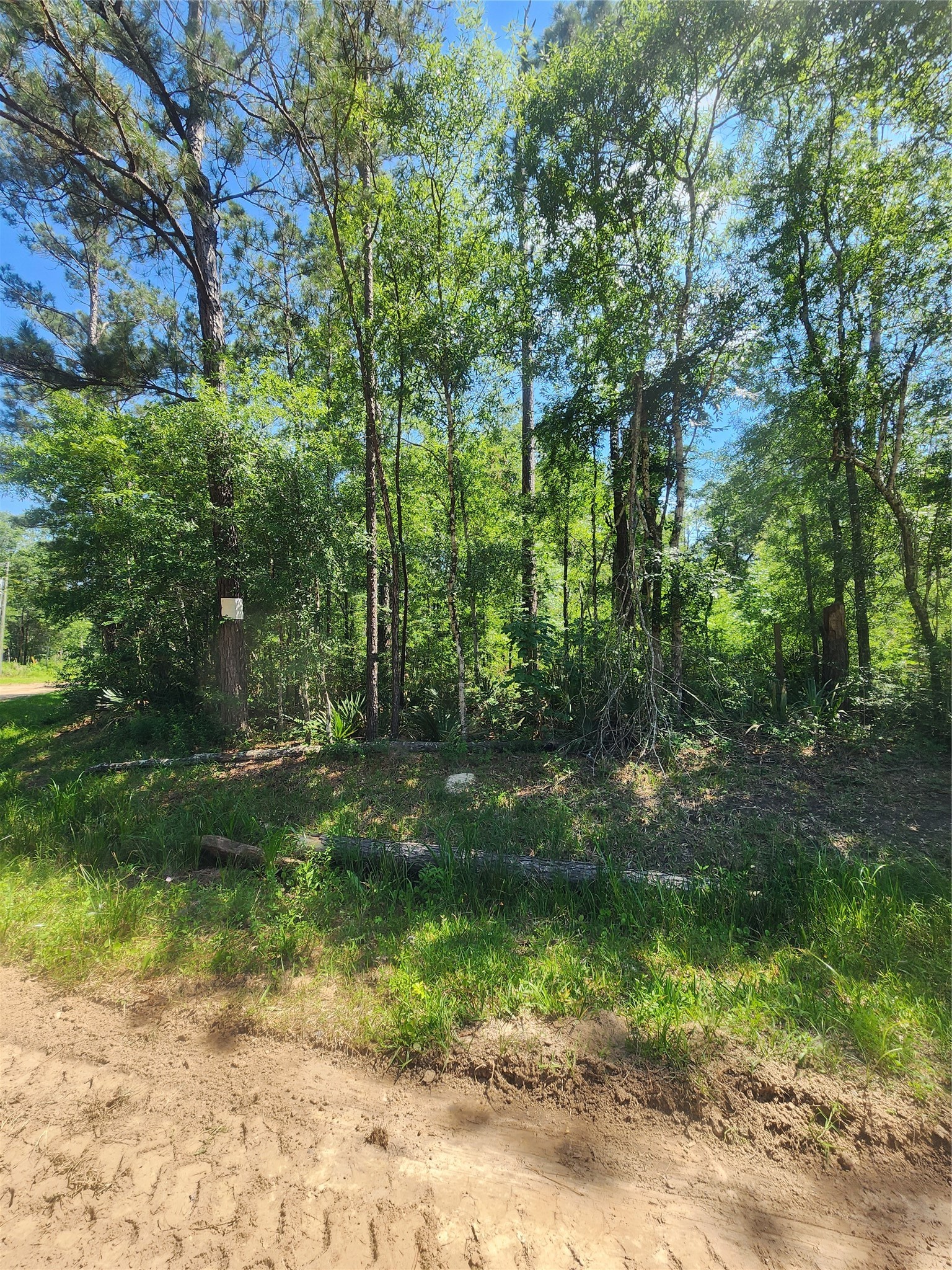 03 Cindy Lane Property Photo 1