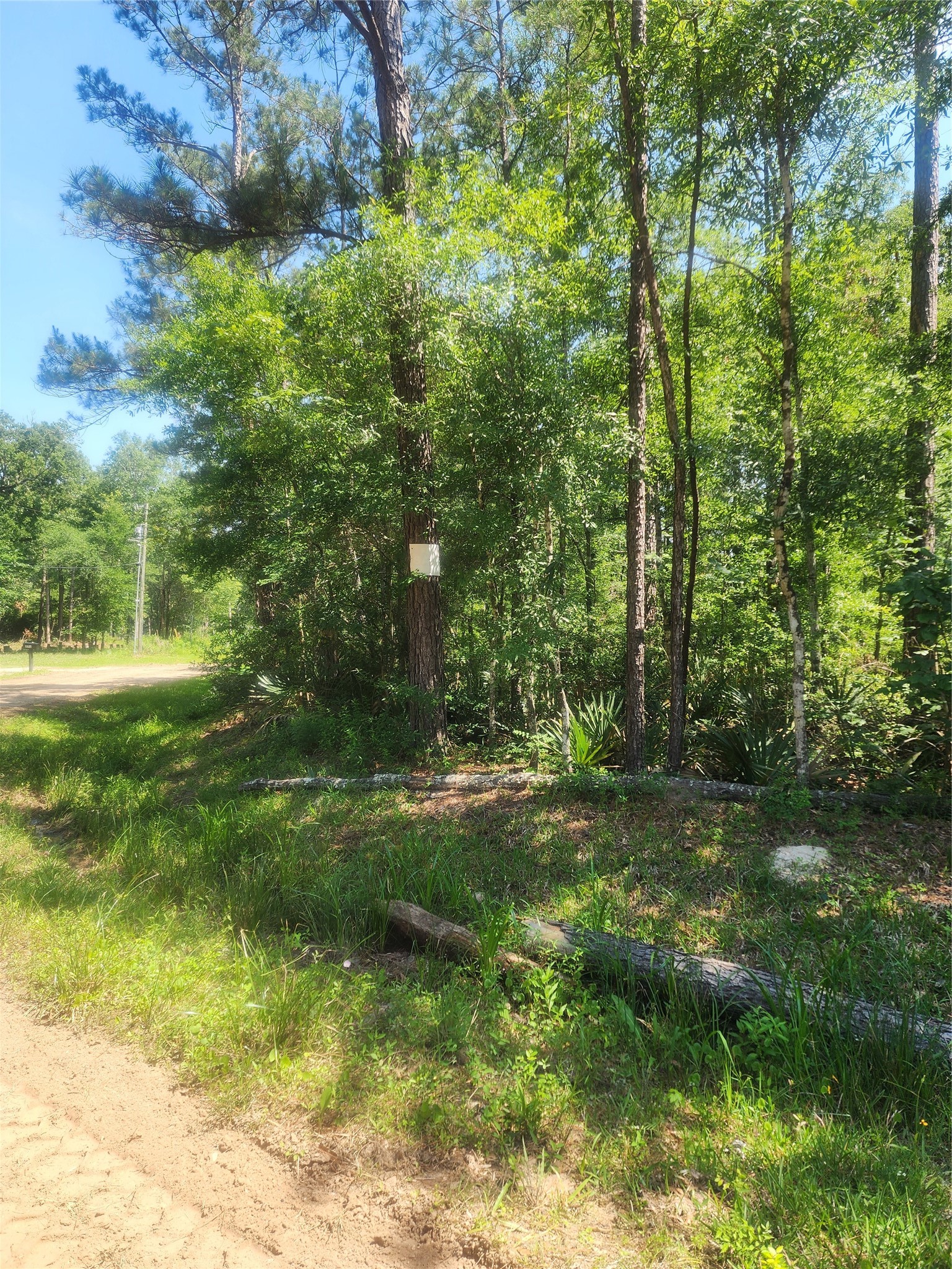03 Cindy Lane Property Photo 4