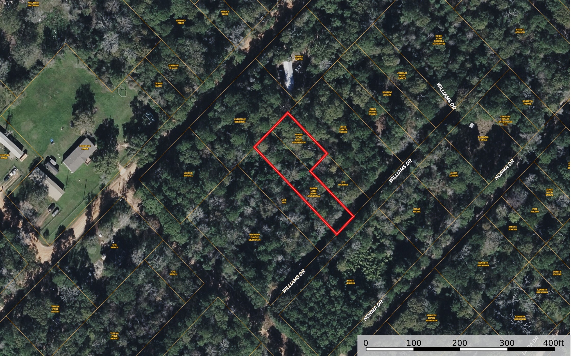 Tbd Williams Drive Property Photo 3