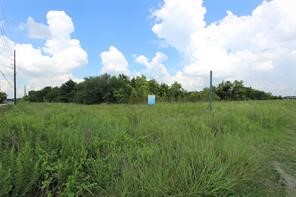 0000 Cullen Parkway Property Photo 5