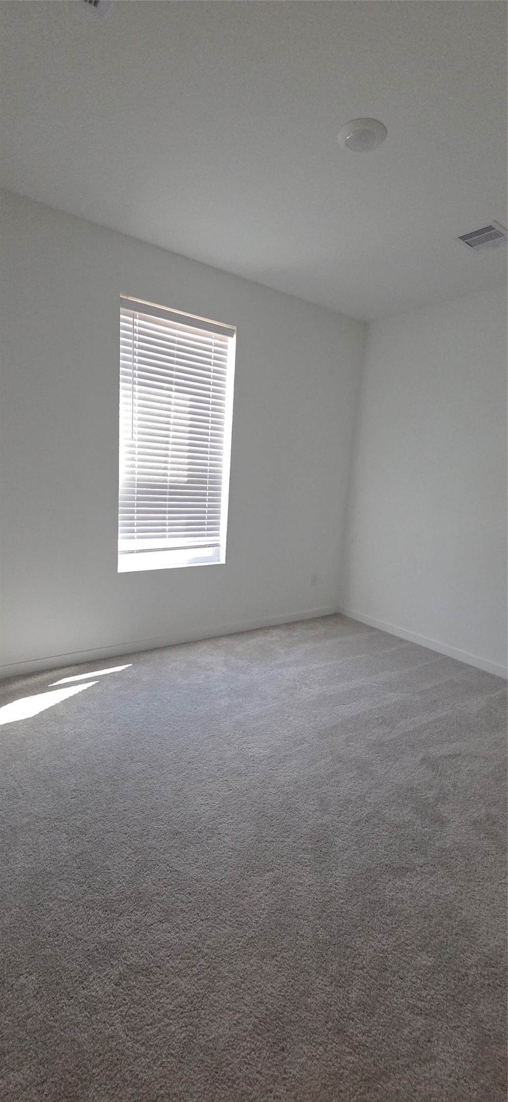 26642 Prairie Smoke Lane Property Photo 13