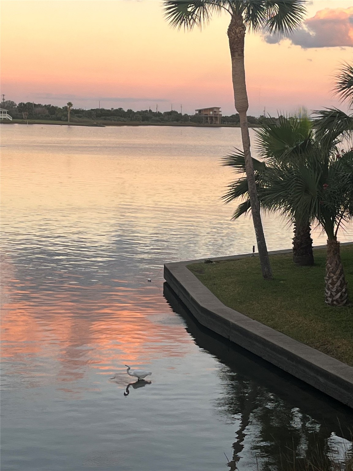 8 Dana Drive Property Photo 26