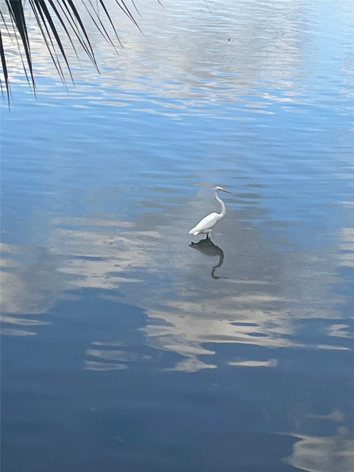 8 Dana Drive Property Photo 27