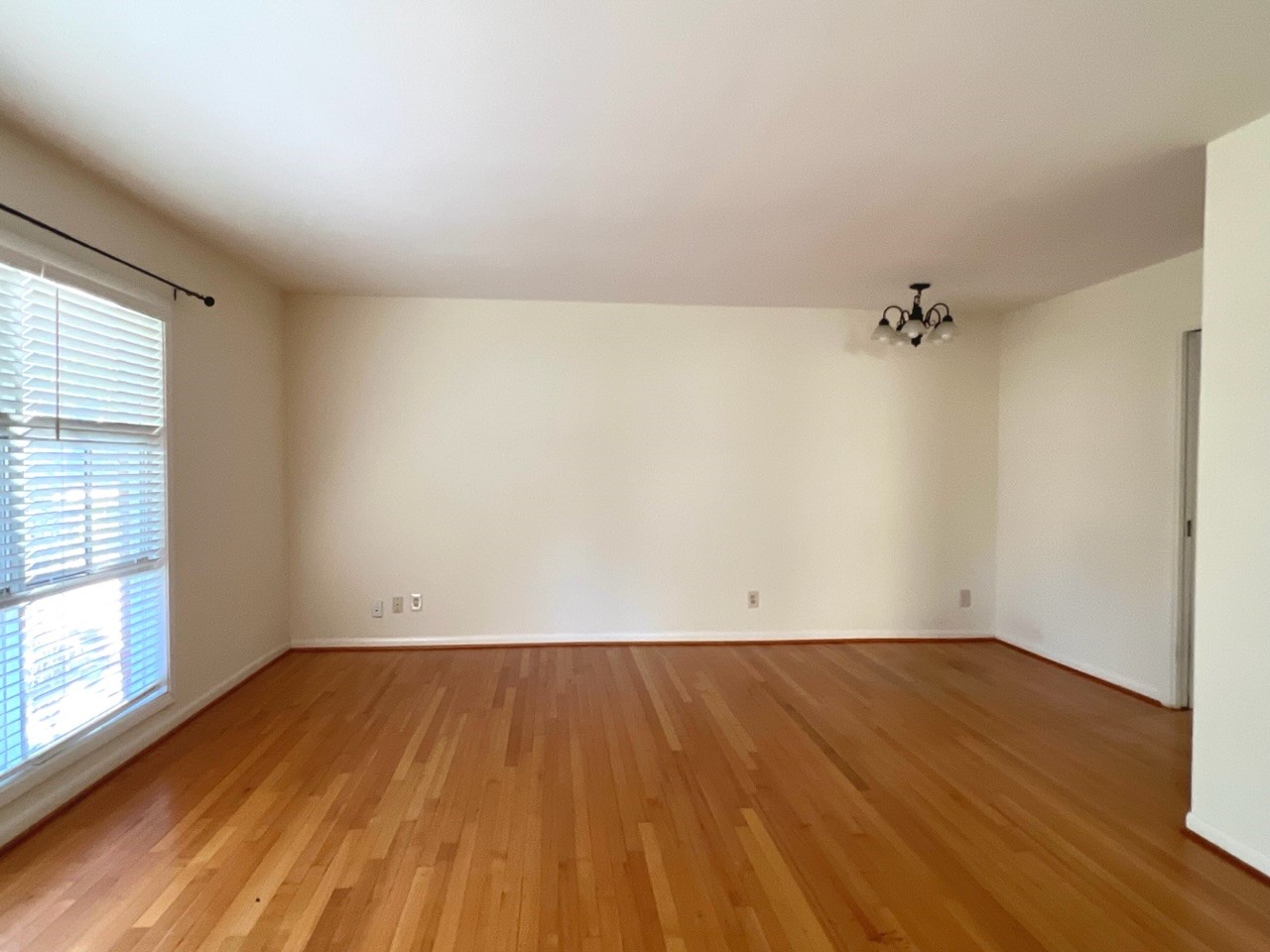 5134 Indigo Street Property Photo 6