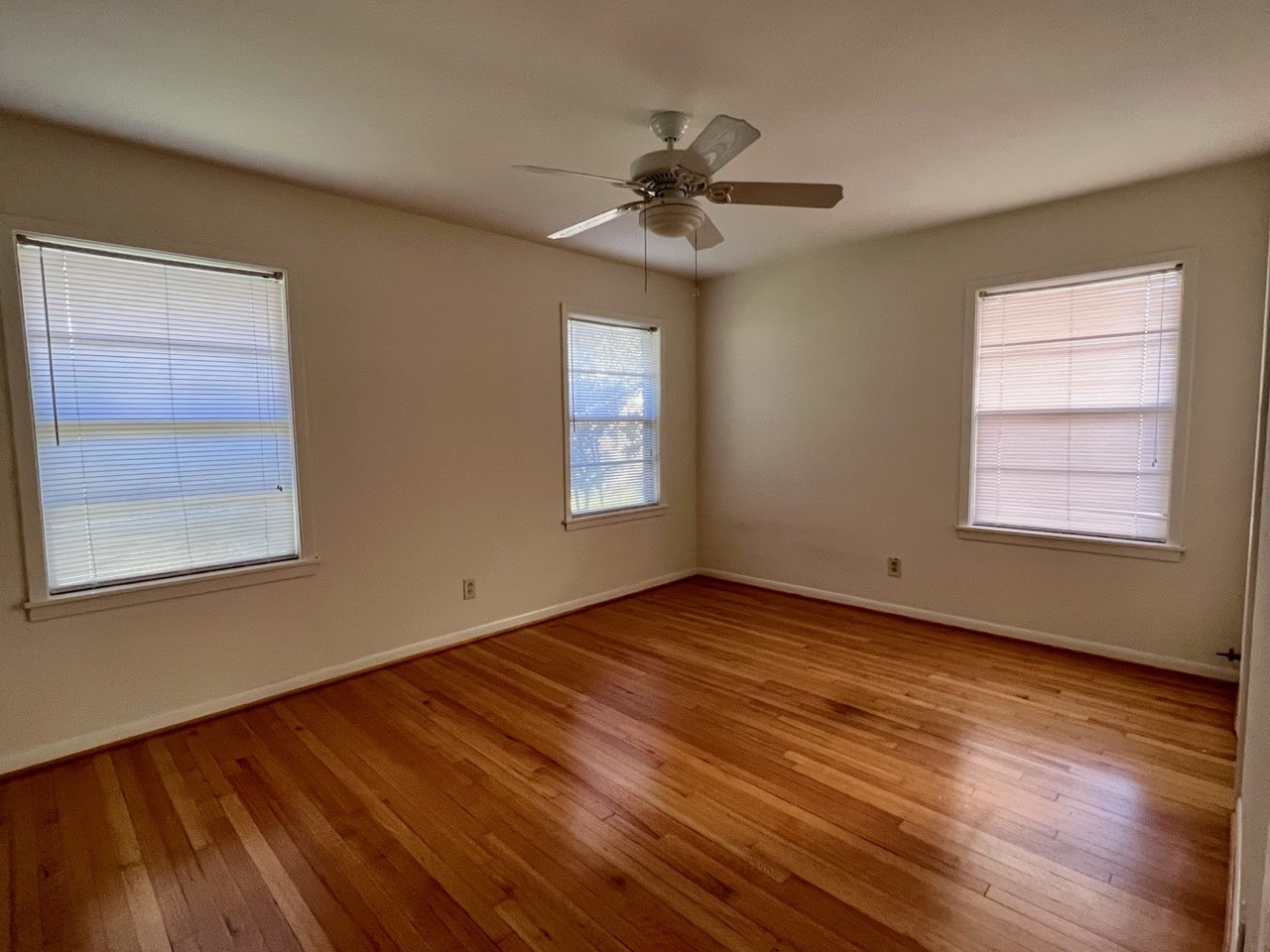 5134 Indigo Street Property Photo 17