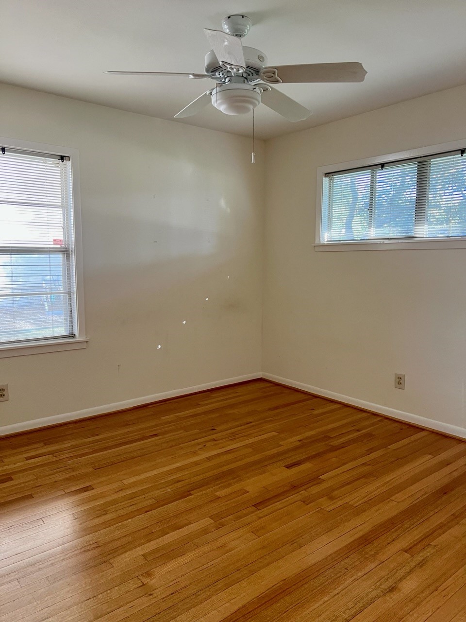 5134 Indigo Street Property Photo 21