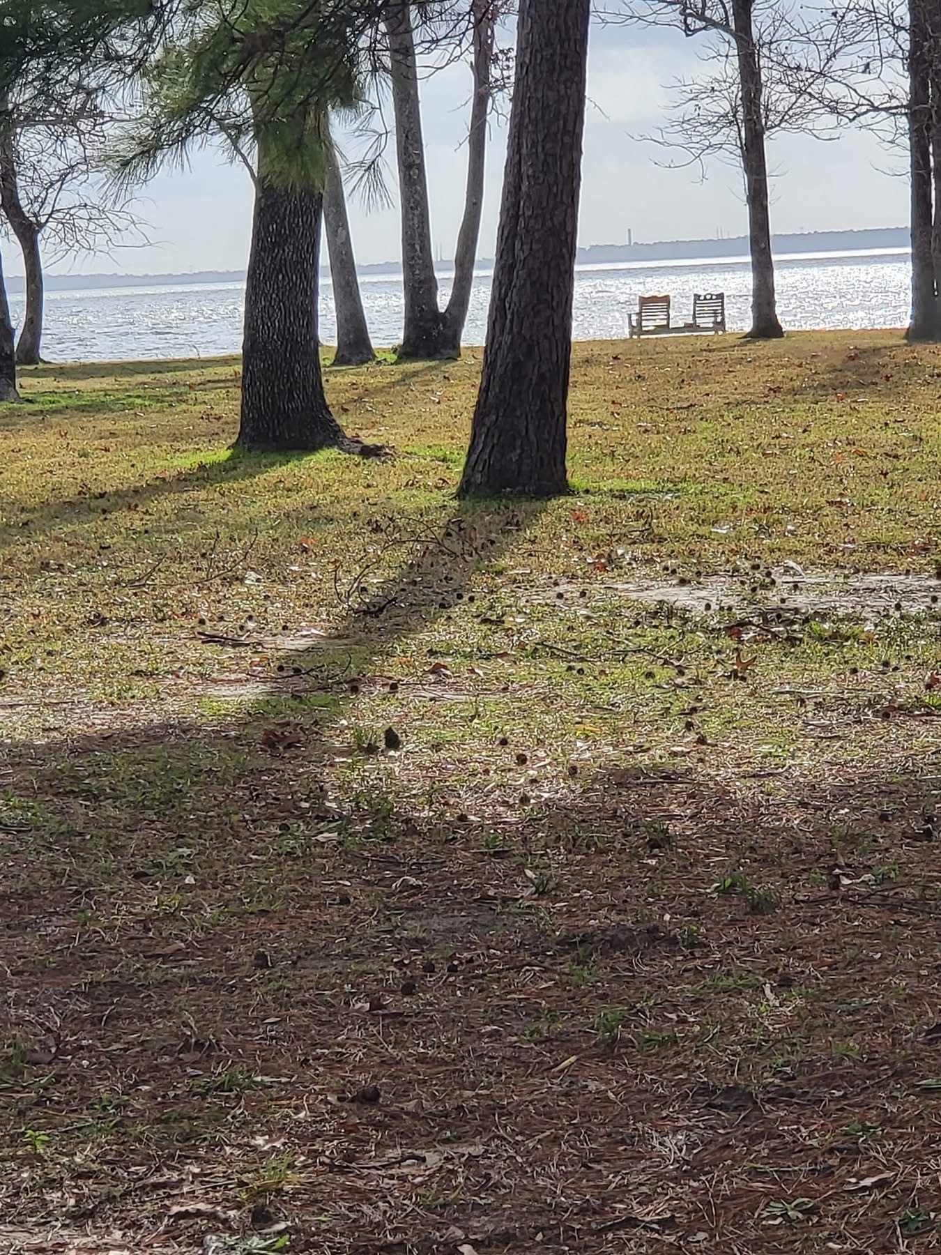 13206 Gentle Water Drive Property Photo 49