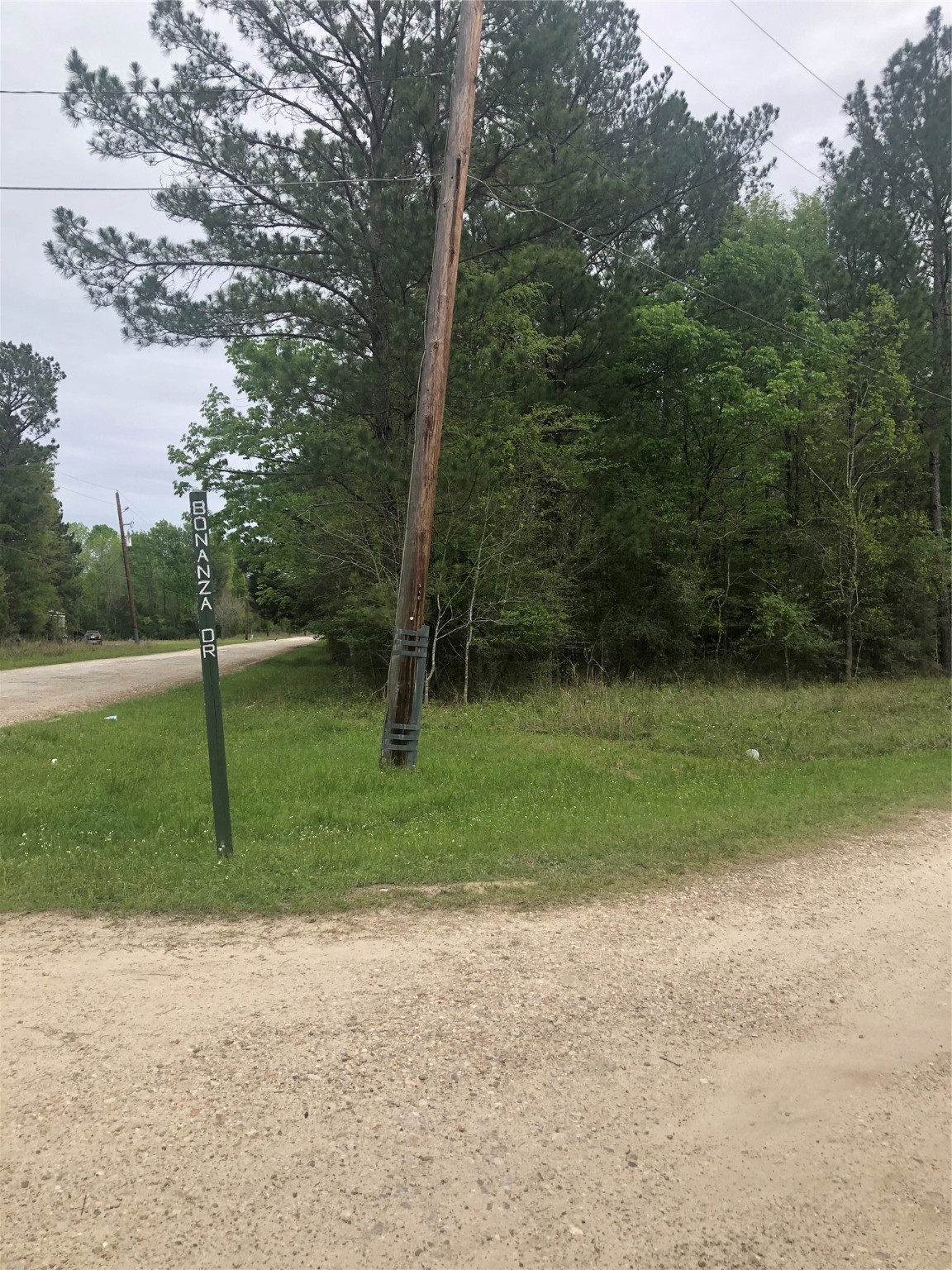 437 Bonanza Drive Property Photo 1