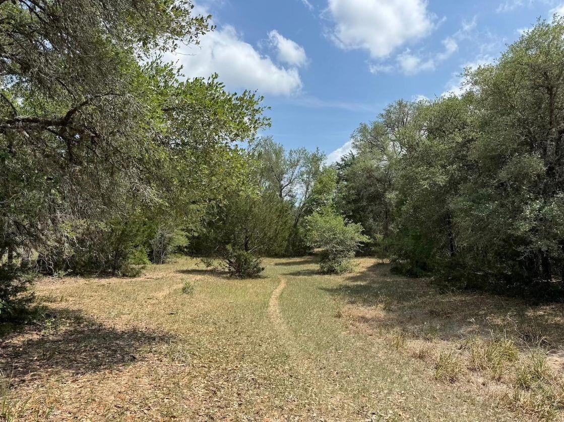 Tbd County Road 122 Property Photo 1