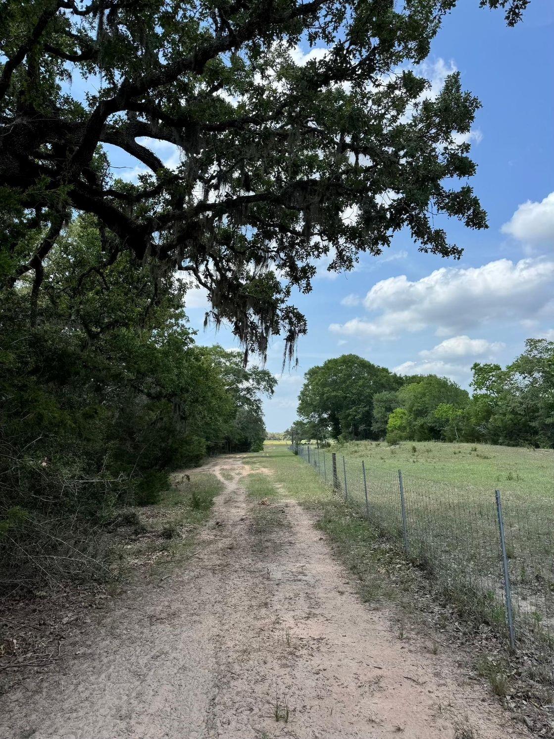Tbd County Road 122 Property Photo 3