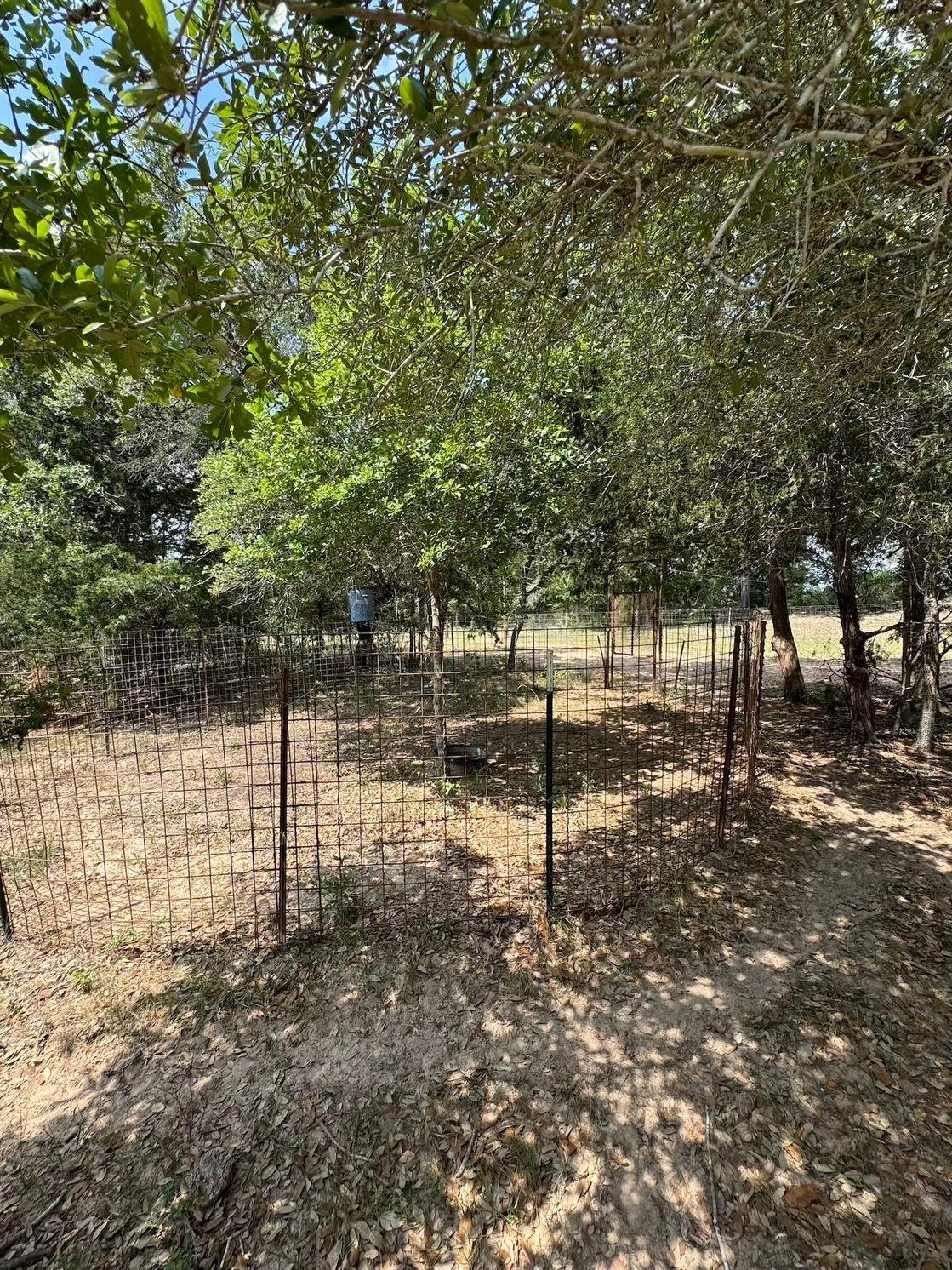 Tbd County Road 122 Property Photo 4